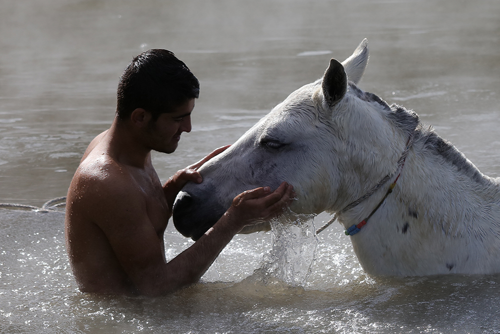ANADOLIJA/Ali İhsan Öztürk