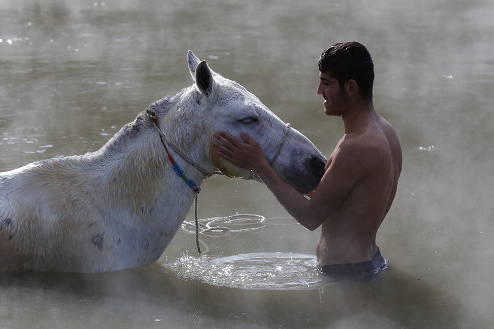 20180129_2_28391984_30259675