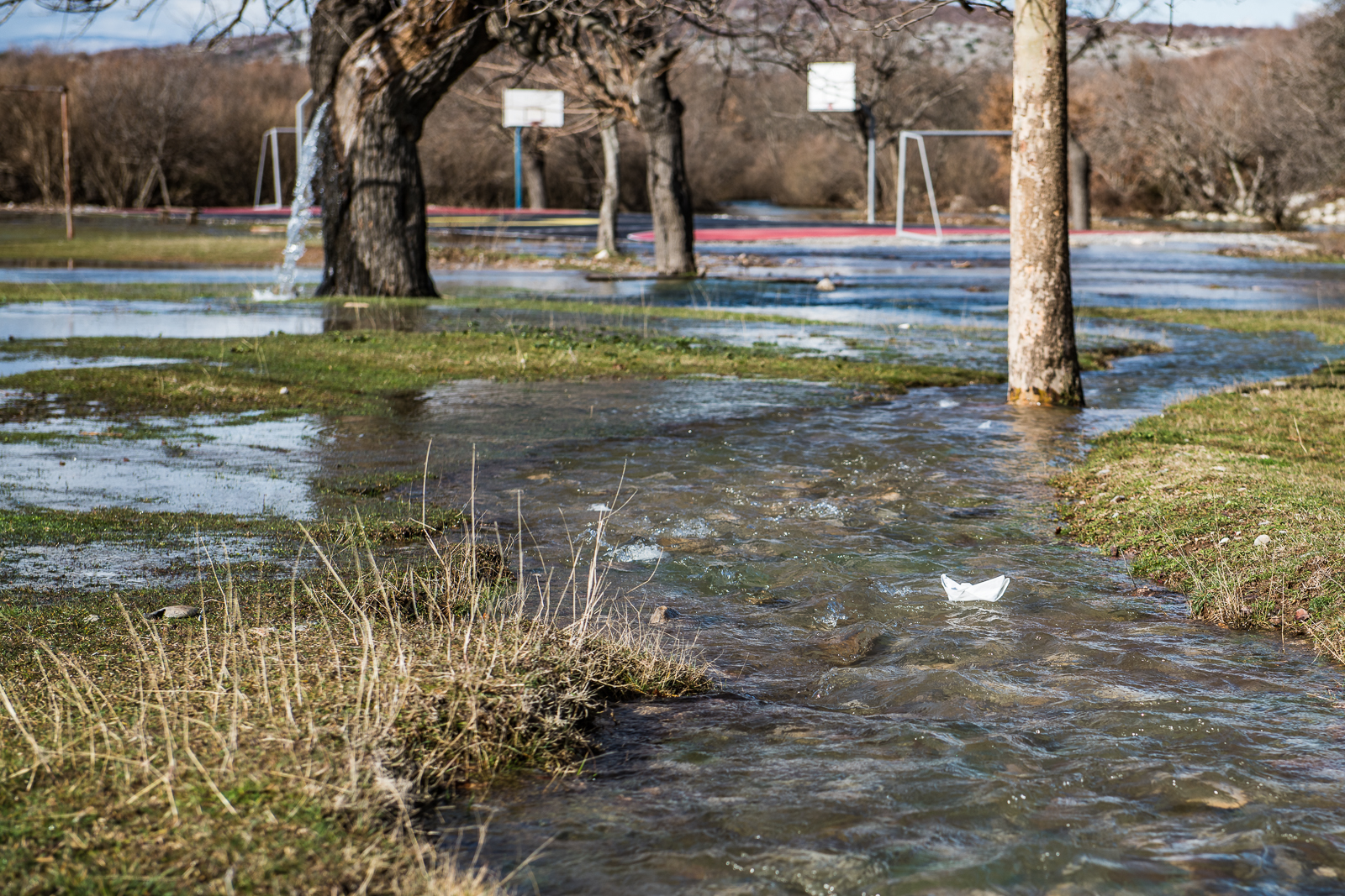 20180205_2_28516369_30461444