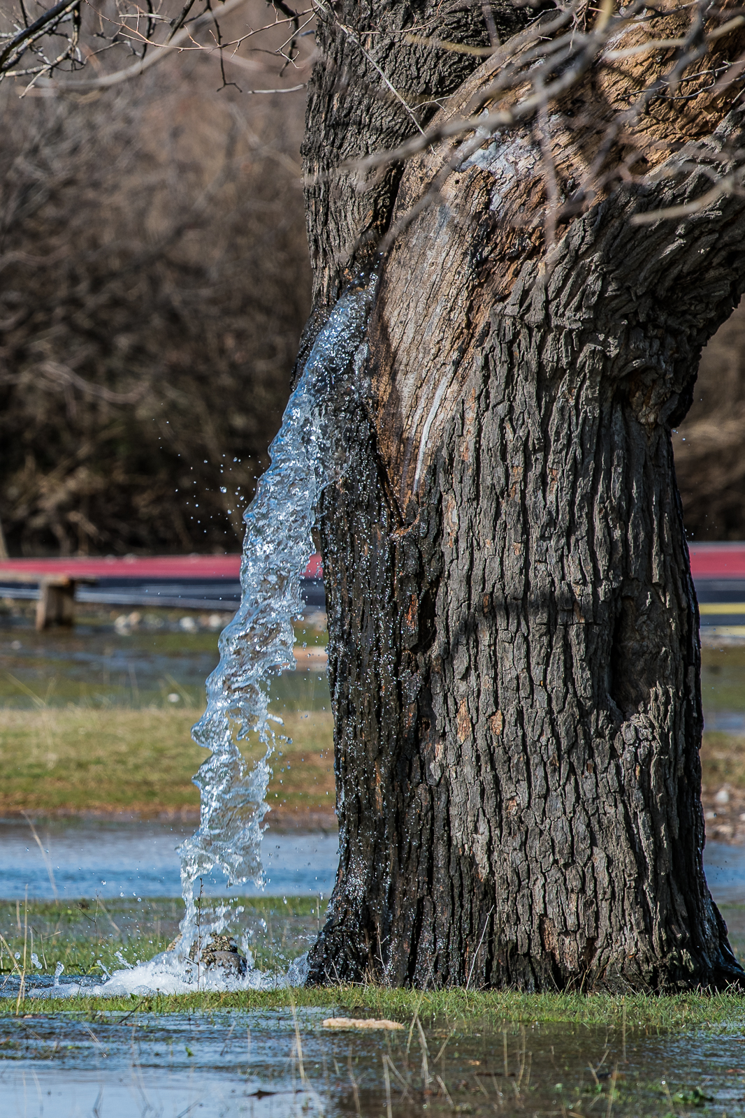 20180205_2_28516369_30461447