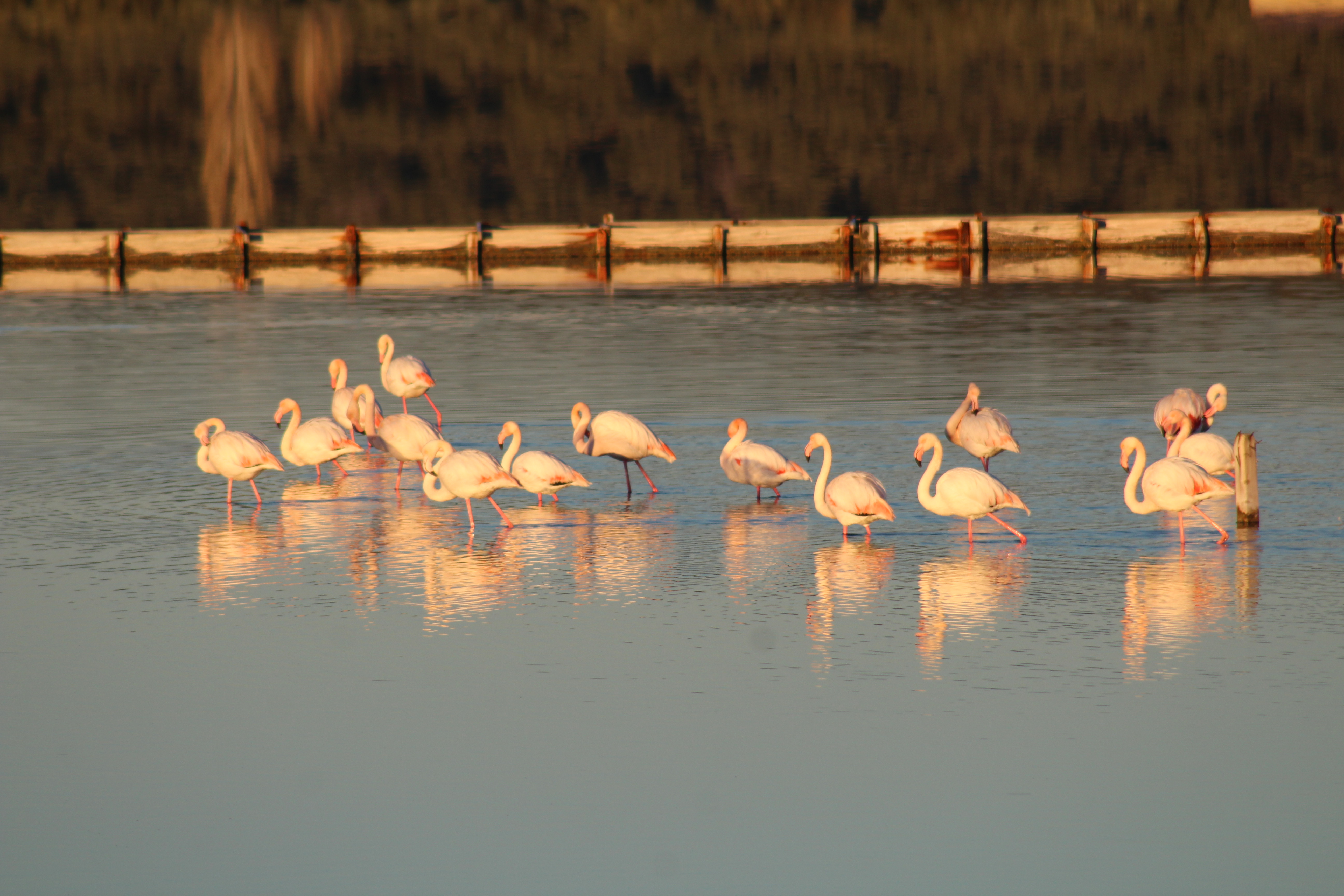 20180220_2_28809897_30940671 - Copy