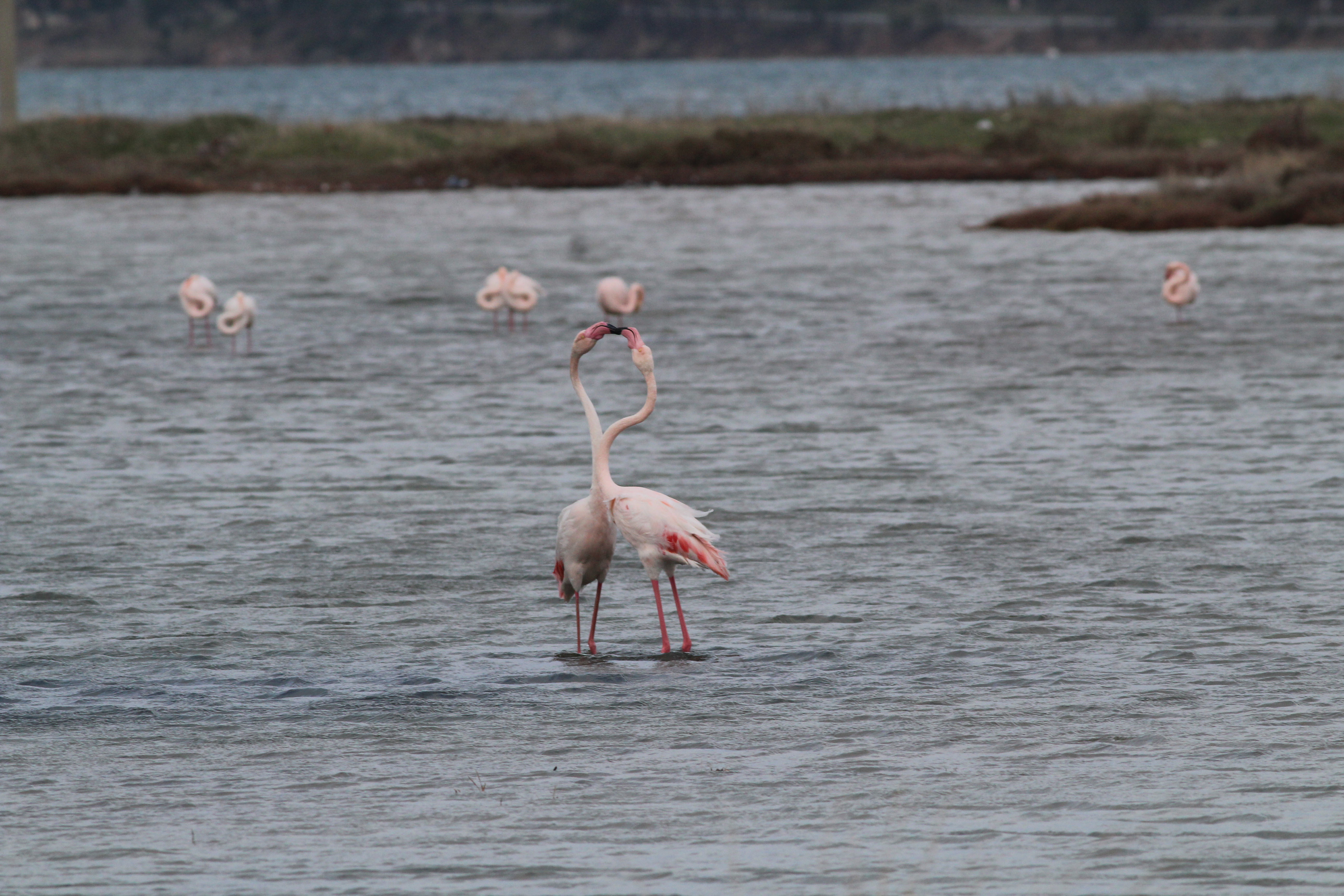 20180220_2_28809897_30940672