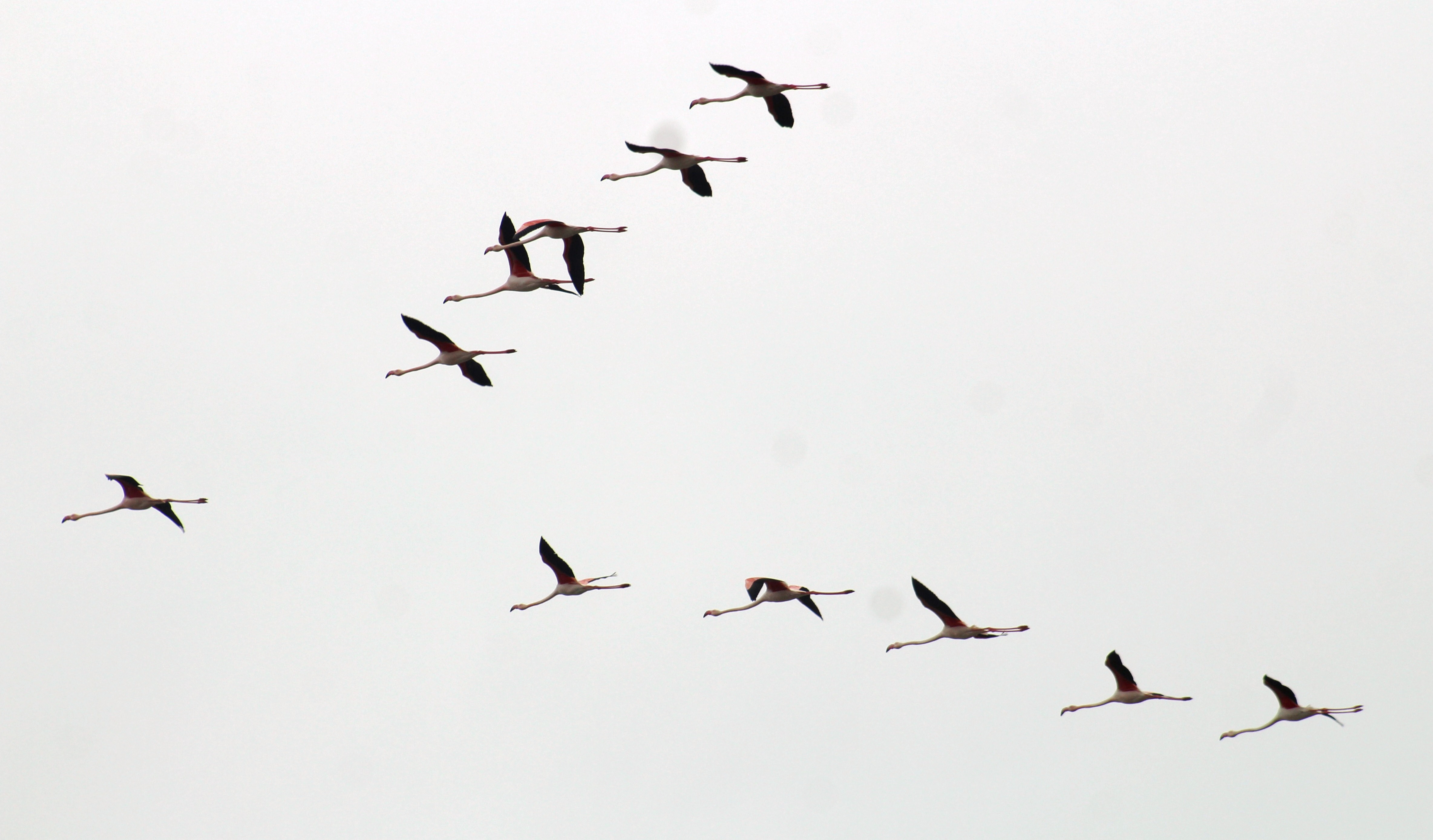 20180220_2_28809897_30940673