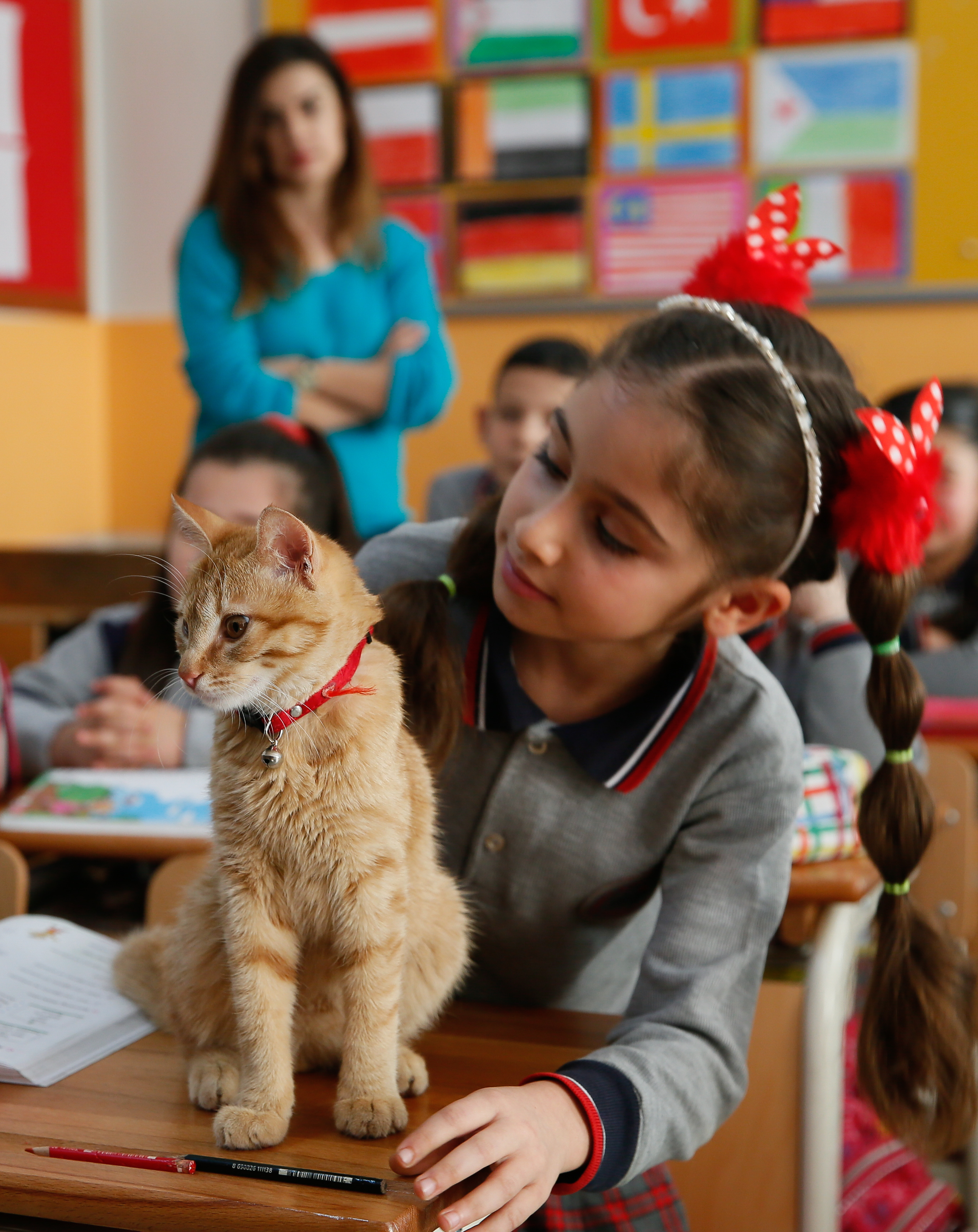 20180222_2_28851942_31007602