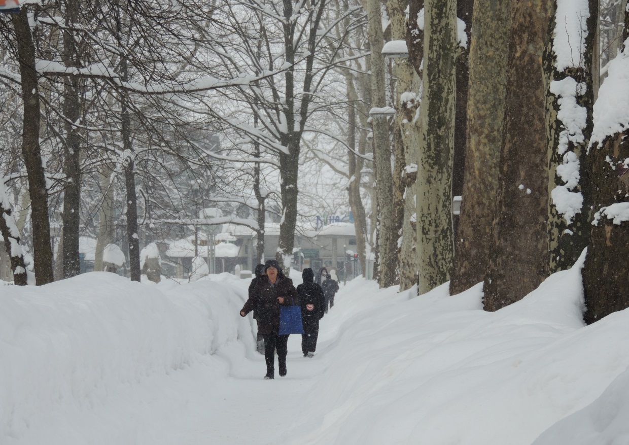 20180227_2_28941995_31160099