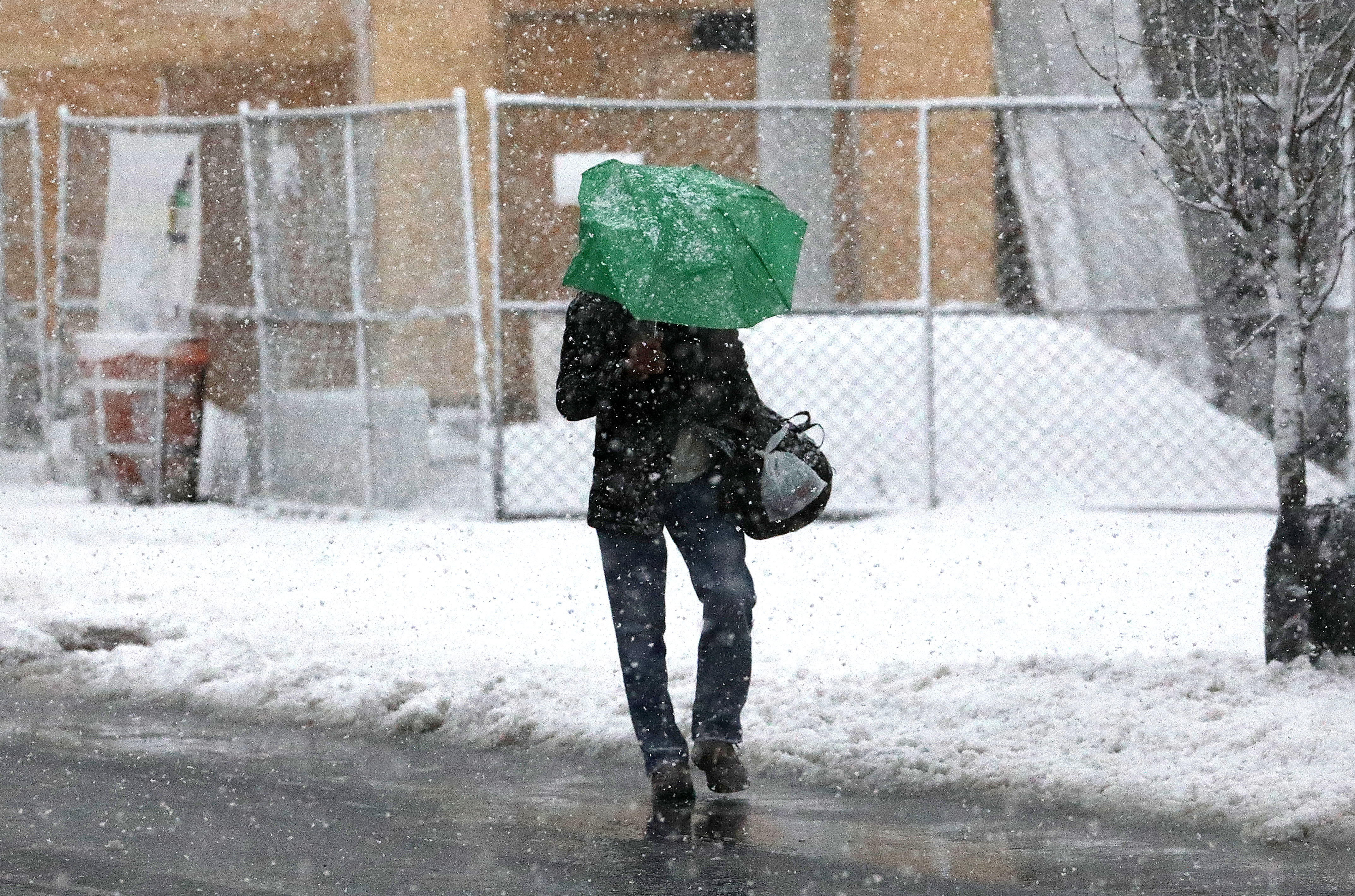 20180307_2_29105699_31430883(1)