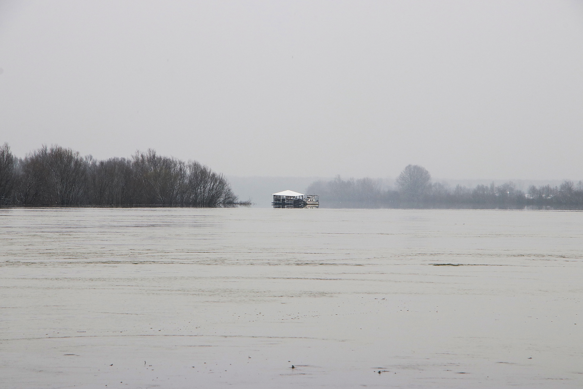 20180320_2_29350412_31871352