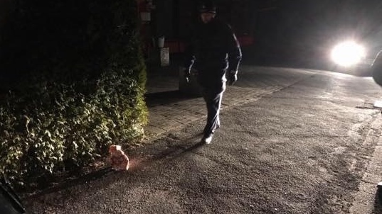 20180320_2_29355316_31877702