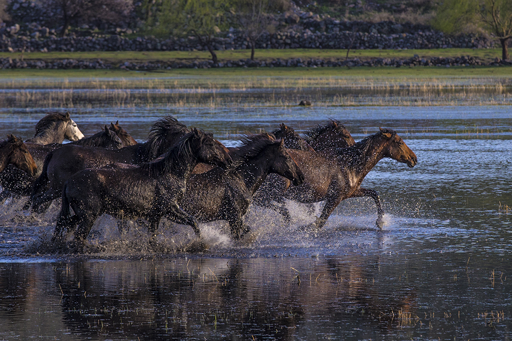 20180327_2_29474252_32102203