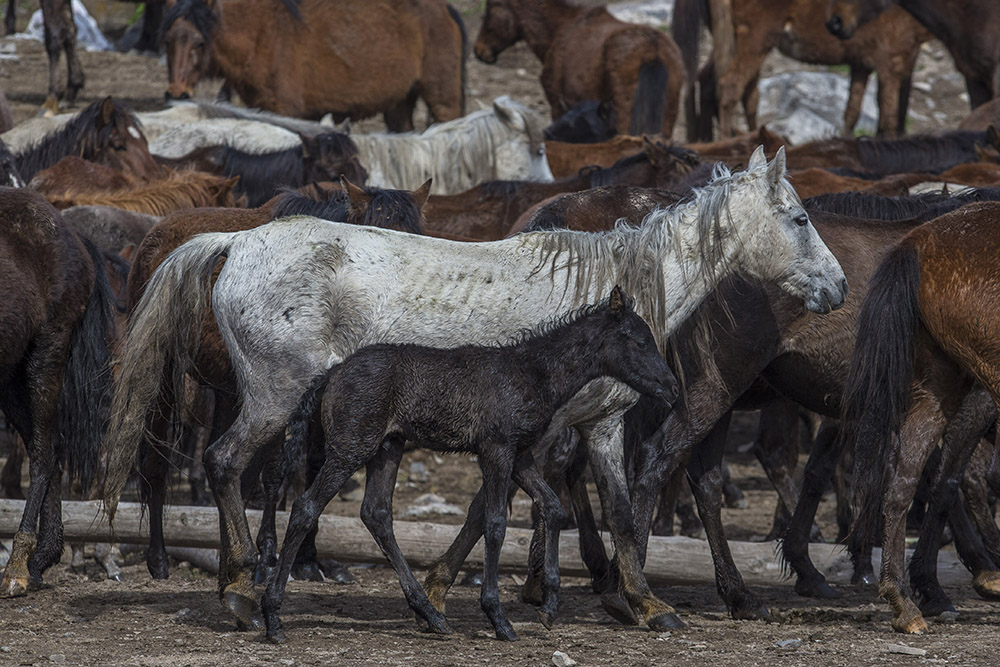 20180327_2_29474252_32102205