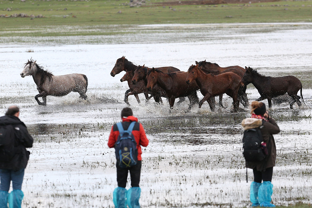 ANADOLIJA/Sercan Küçükşahin