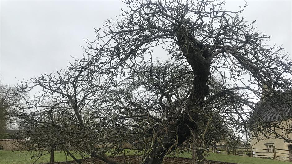 20180404_2_29623835_32365946