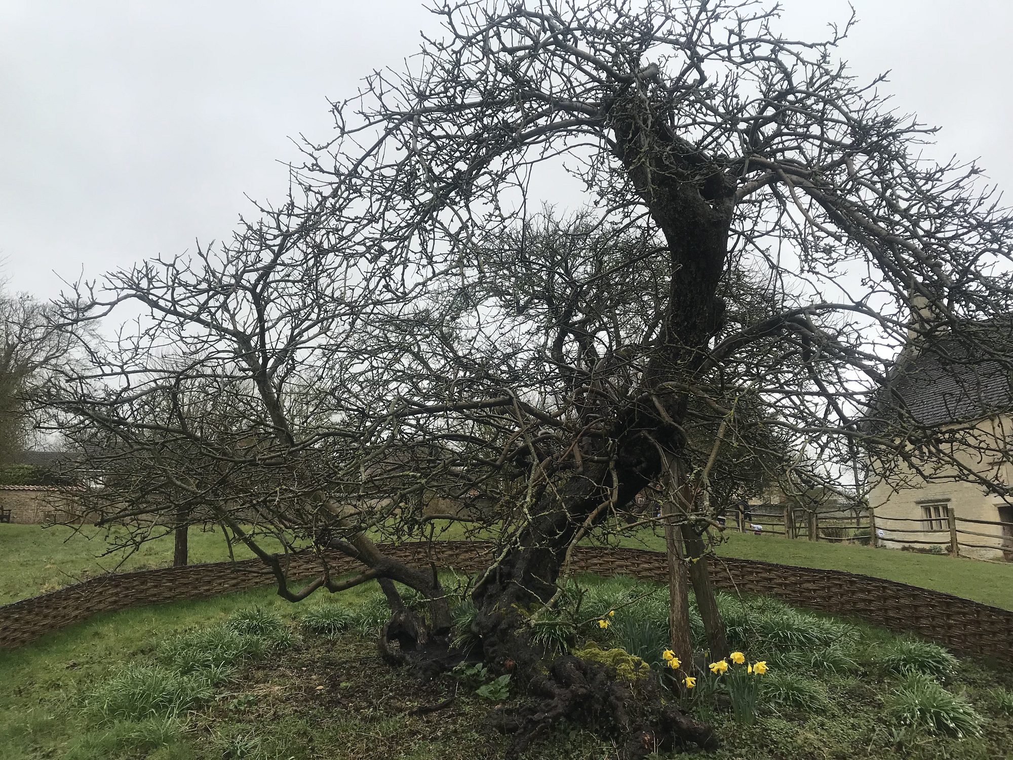 20180404_2_29623835_32365946