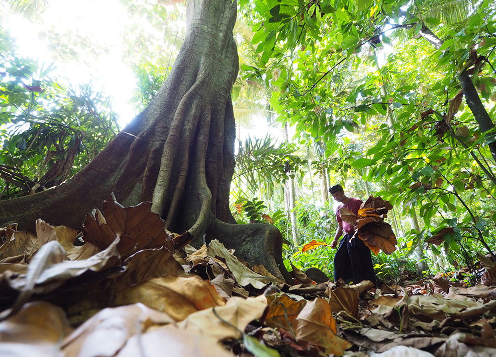 ANADOLIJA/Mahendra Moonstar