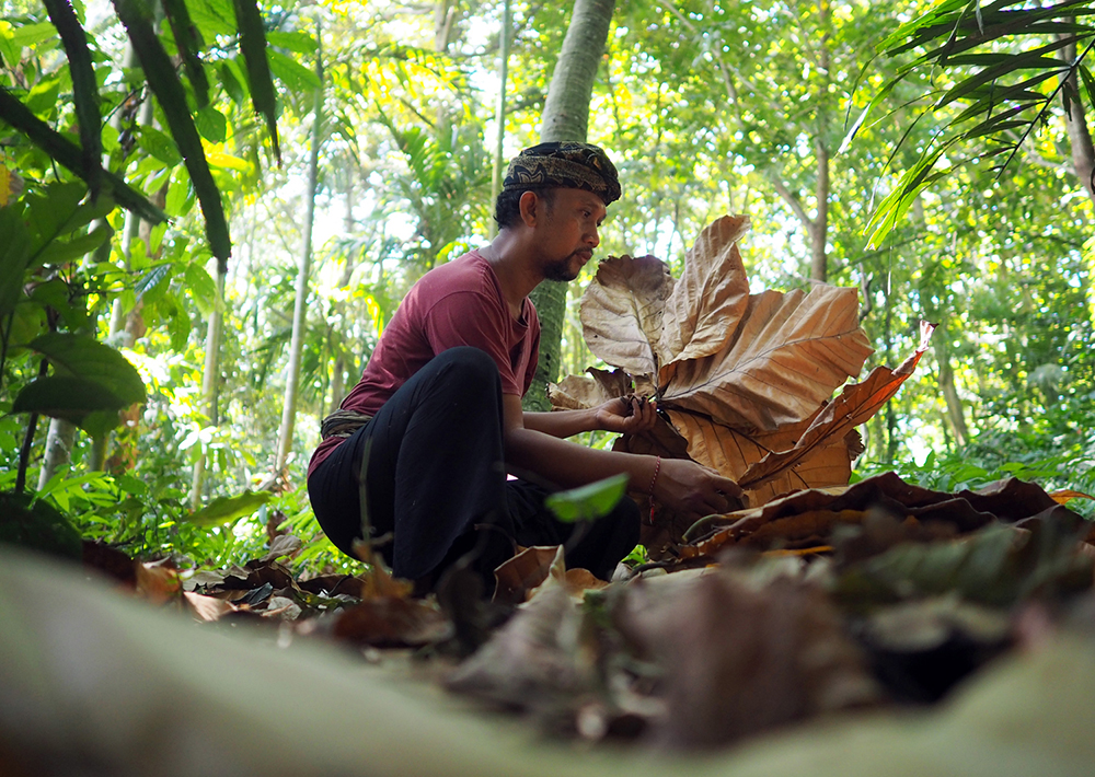 ANADOLIJA/Mahendra Moonstar