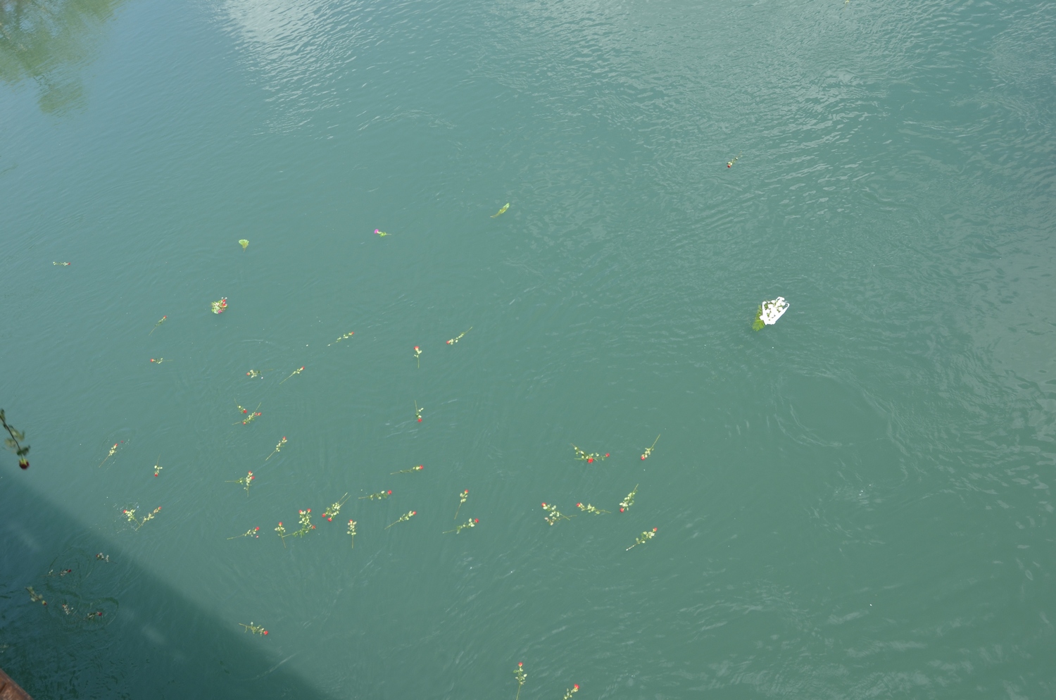 20180511_2_30300004_33591928