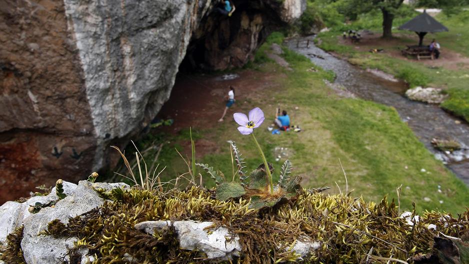 20180513_2_30329735_33661488