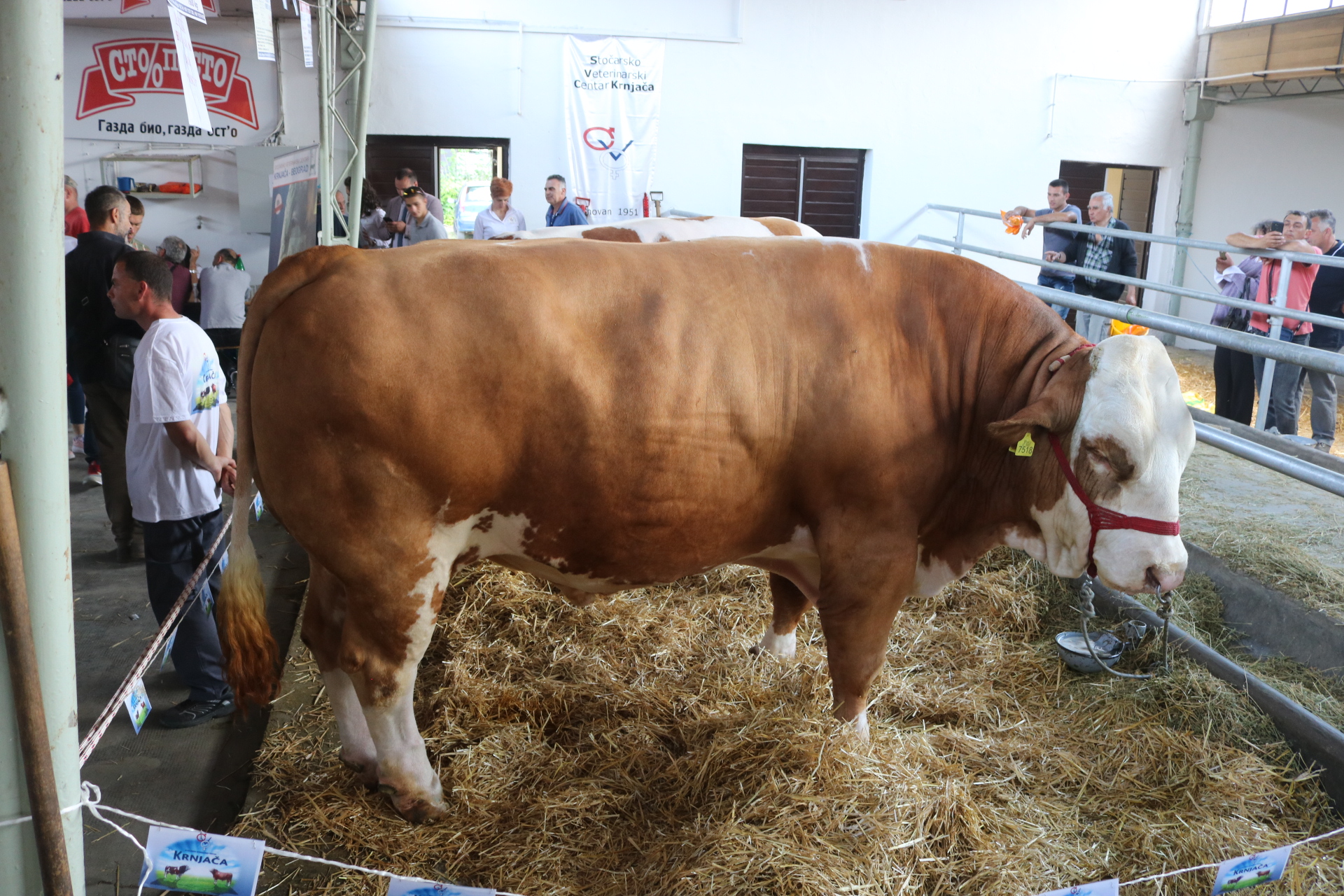 20180520_2_30473022_33922218