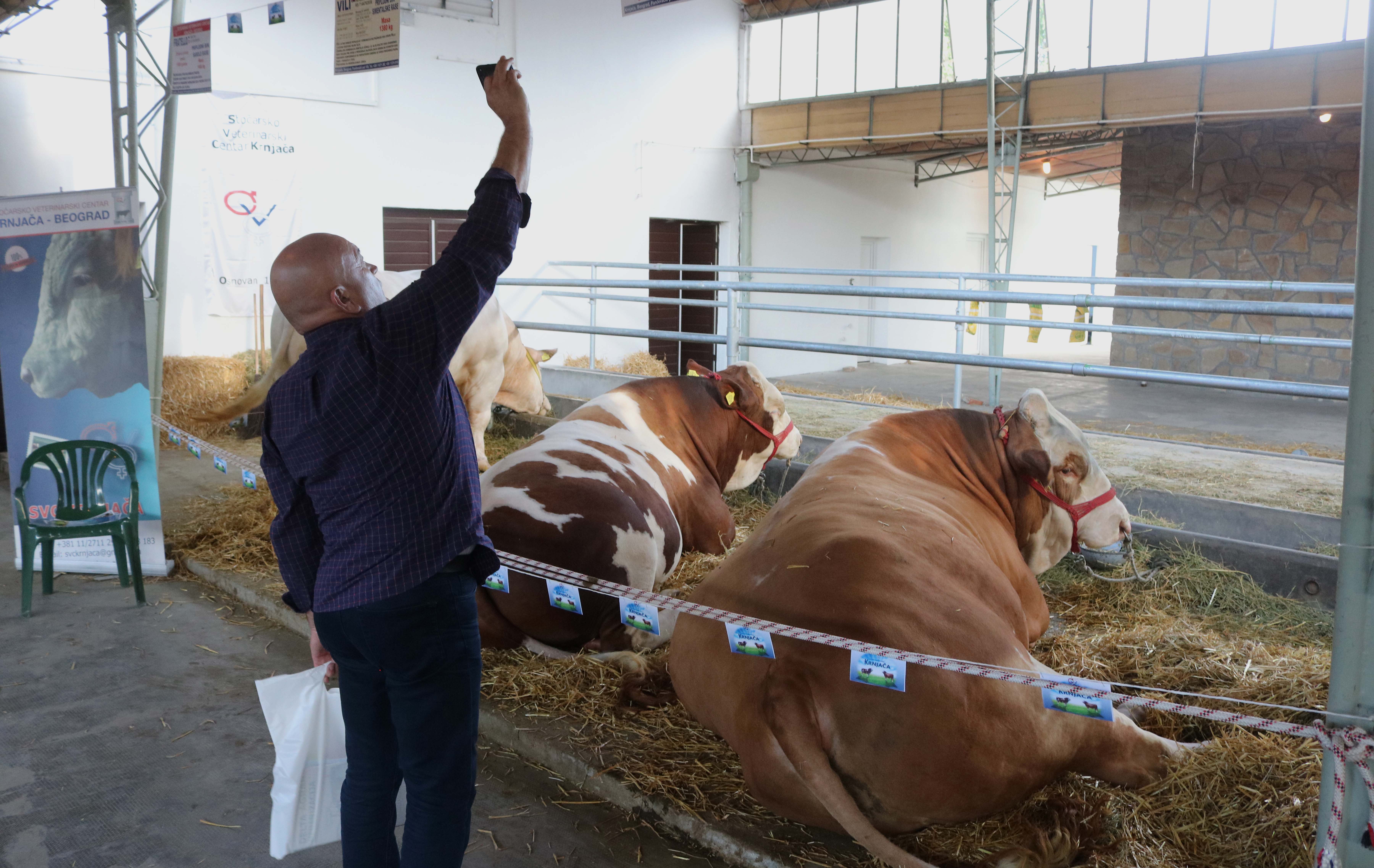 20180520_2_30473022_33922220