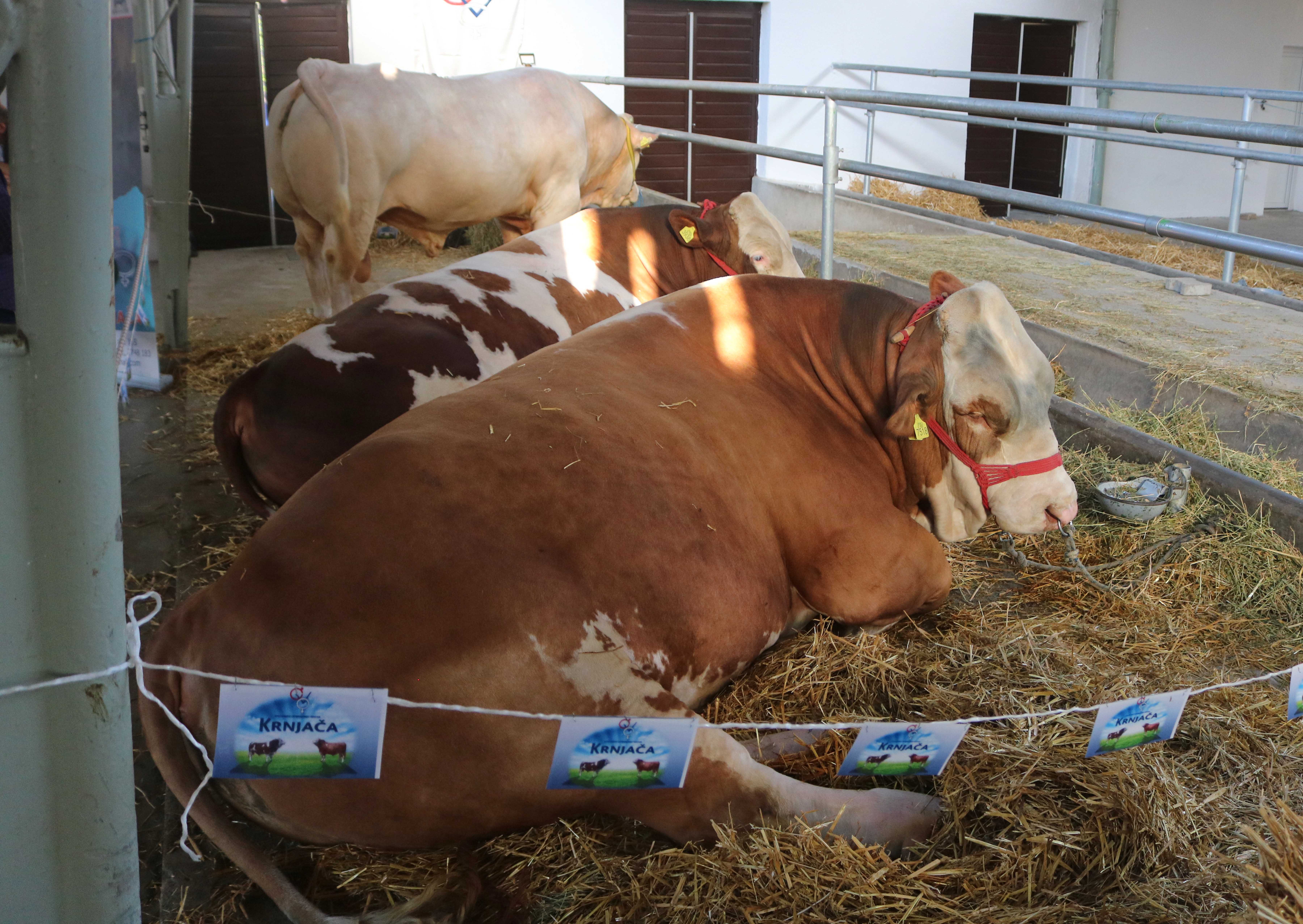 20180520_2_30473022_33922221