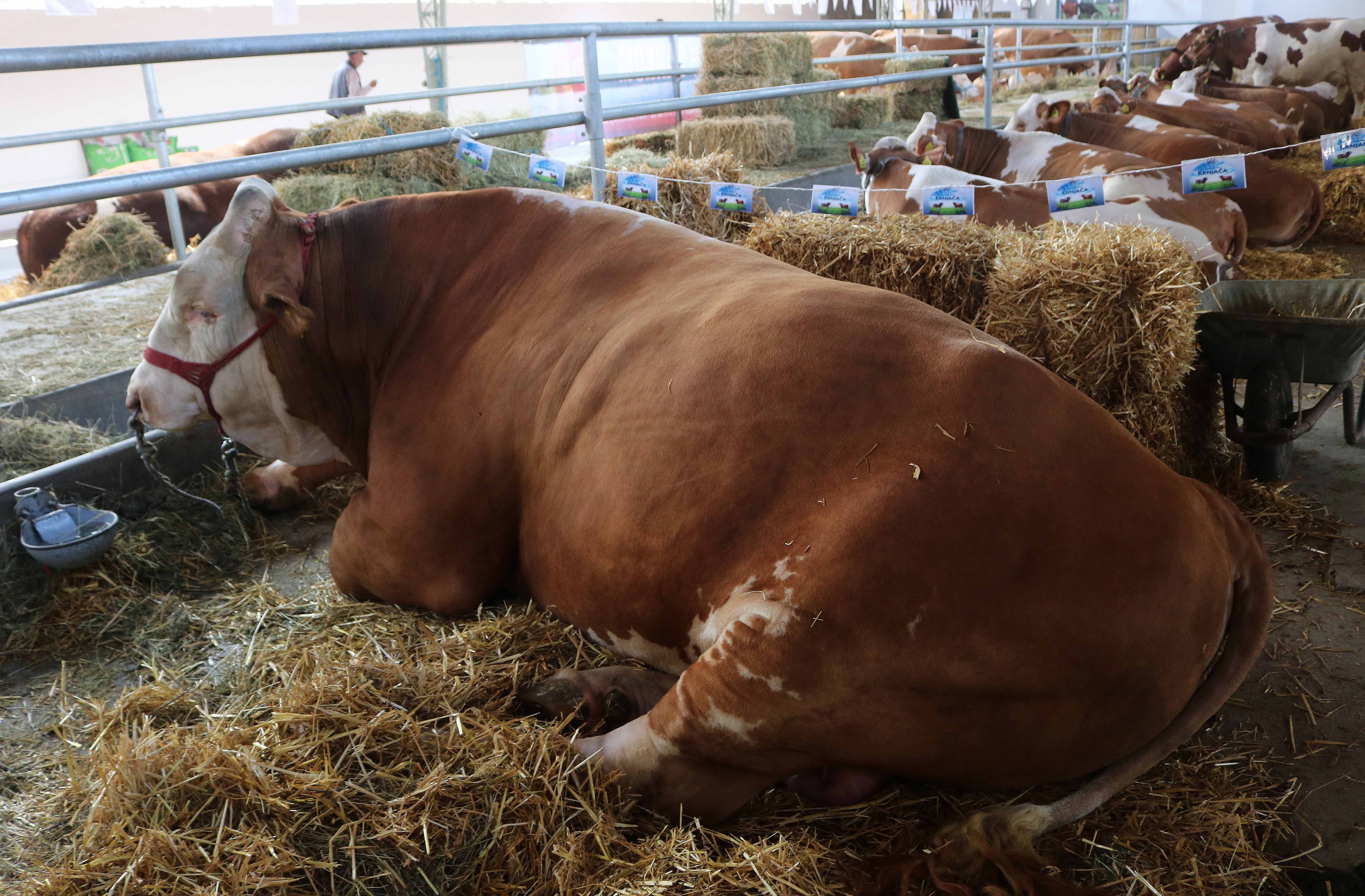 20180520_2_30473022_33922223