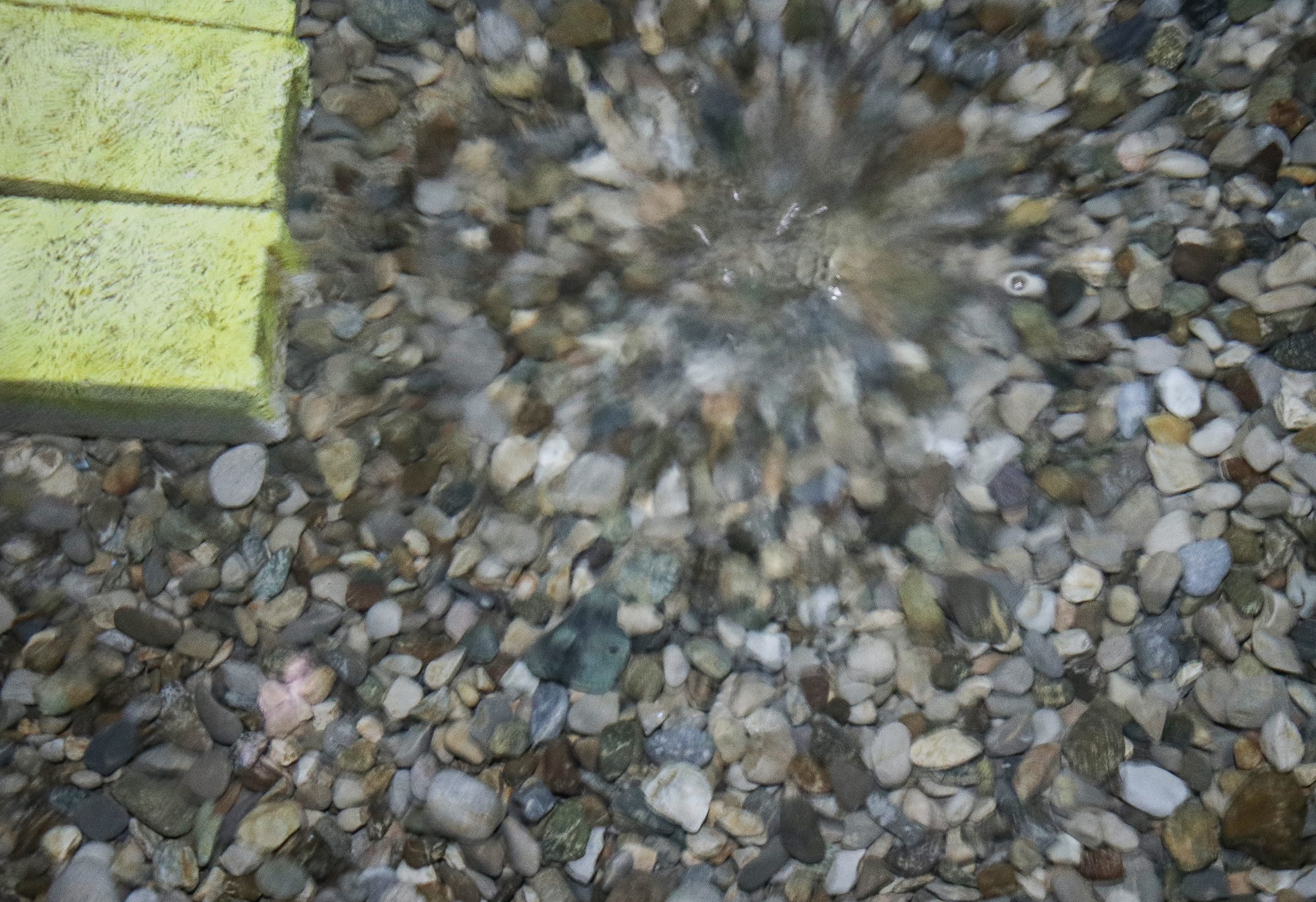 20180527_2_30584162_34105572