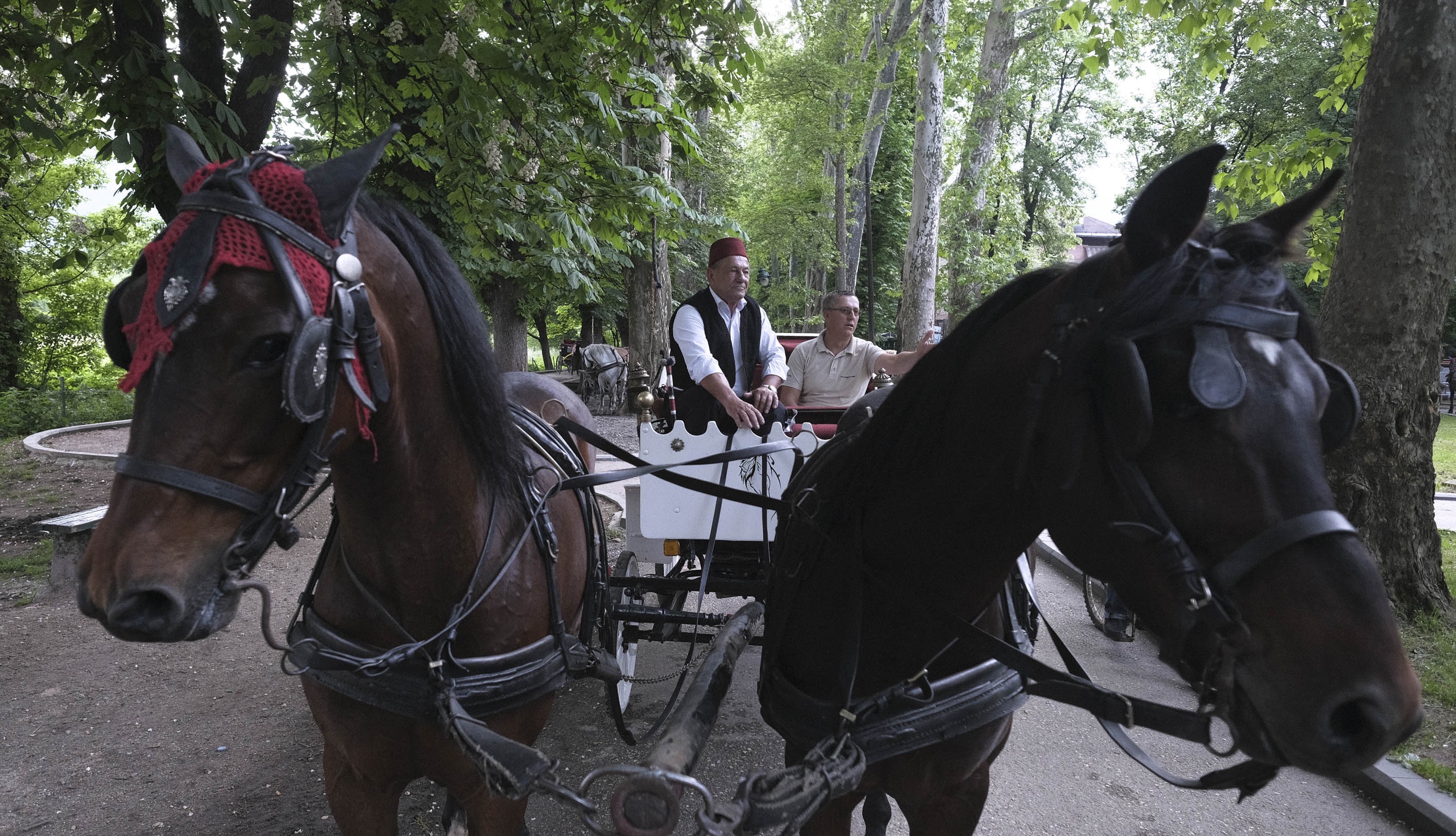 20180603_2_30701077_34311325