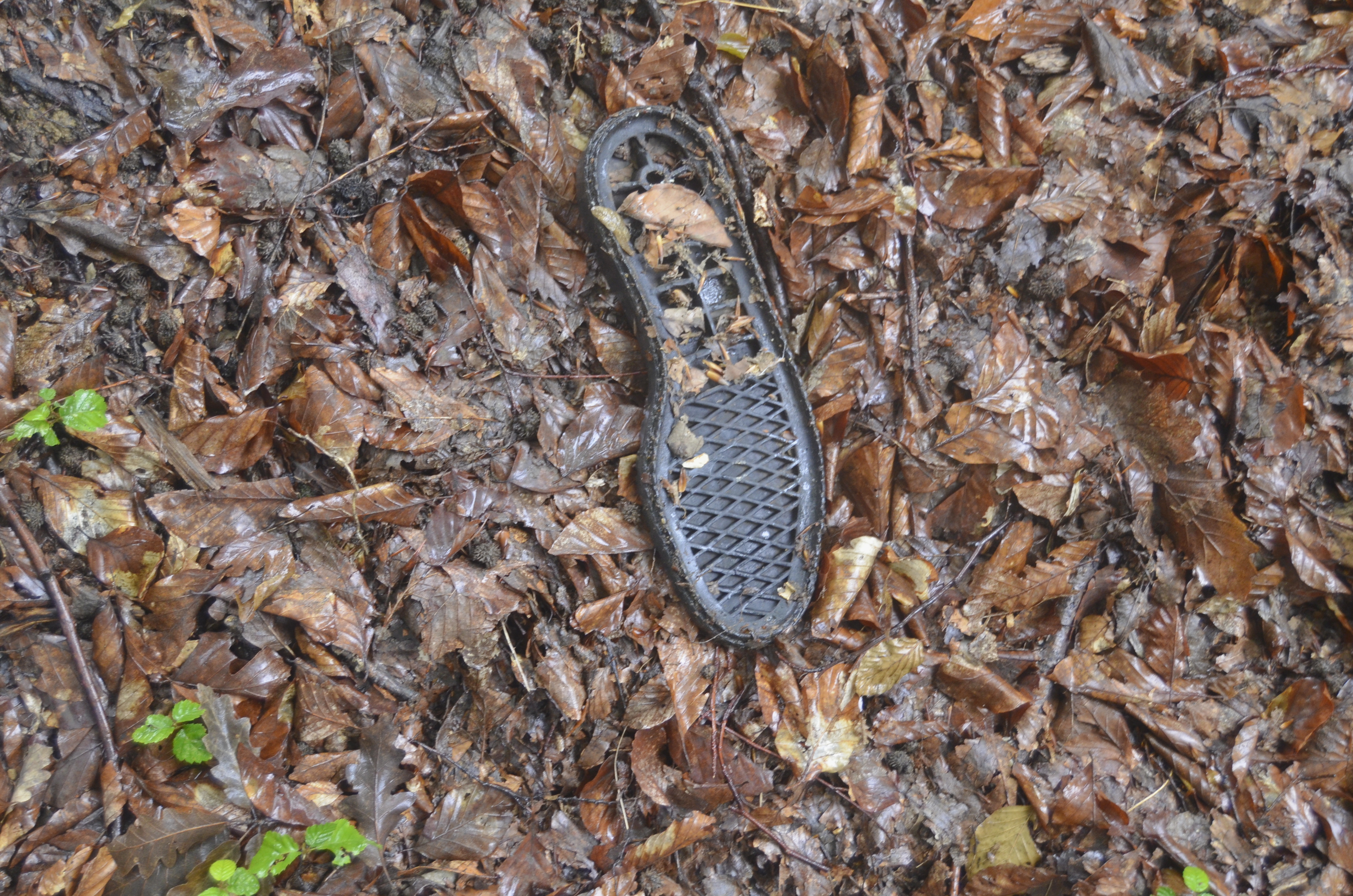 20180627_2_31170050_35123254