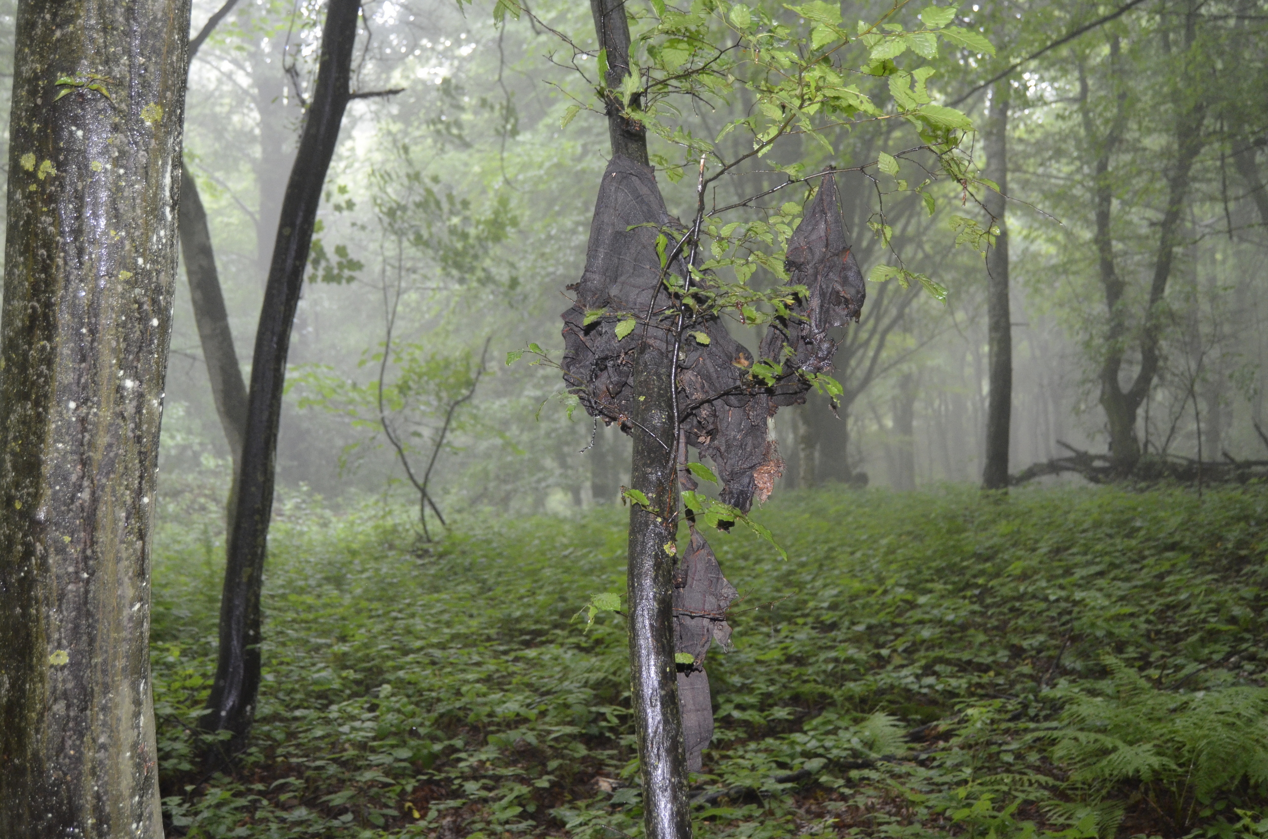 20180627_2_31170050_35123255