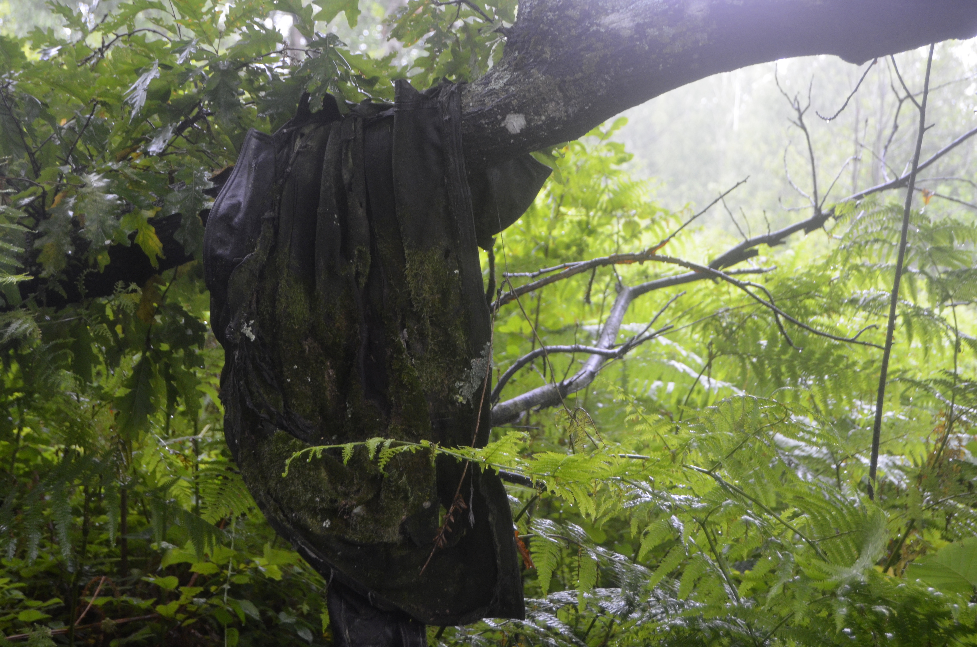 20180627_2_31170050_35123256