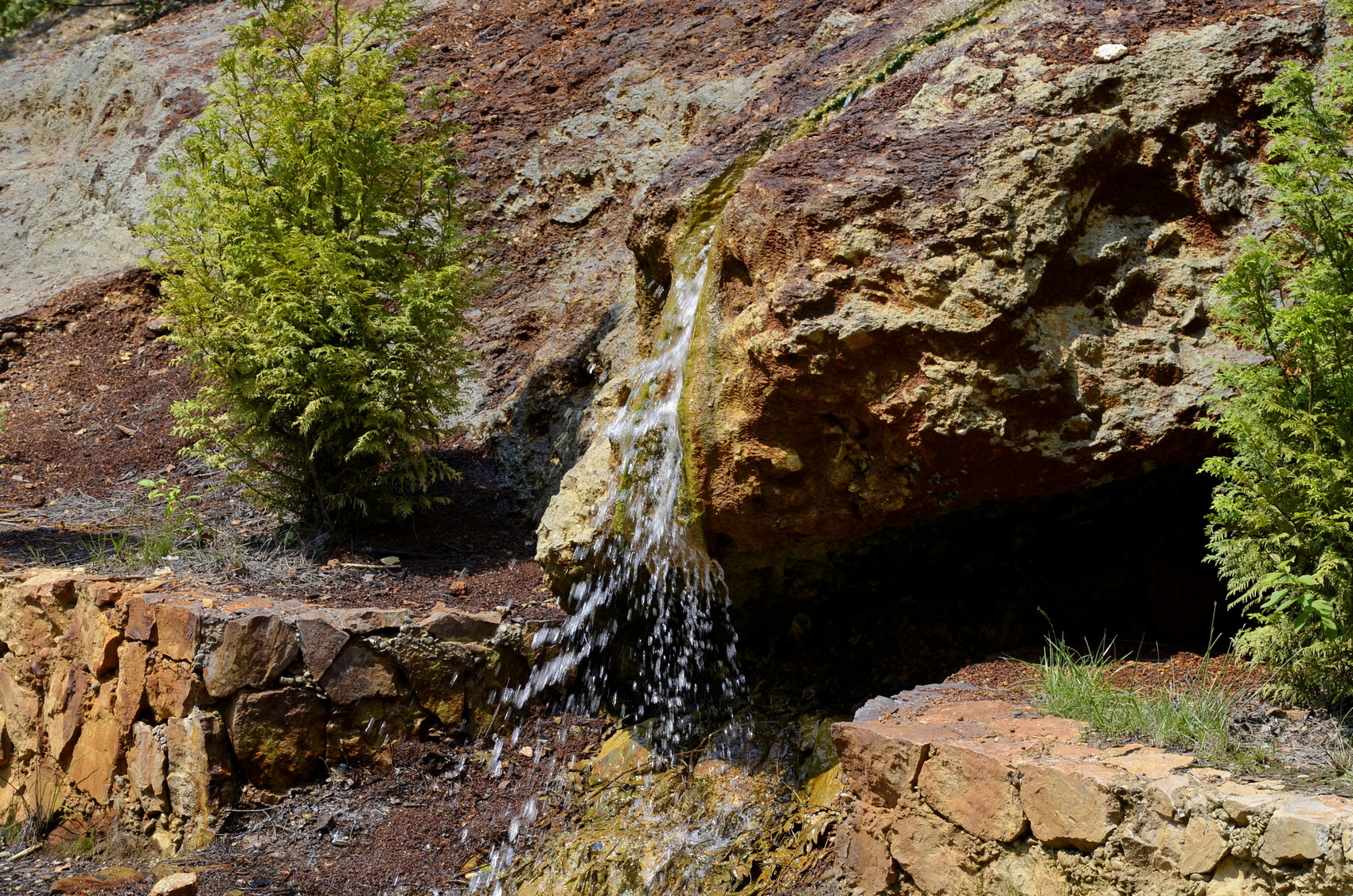 20180728_2_31666904_35993298