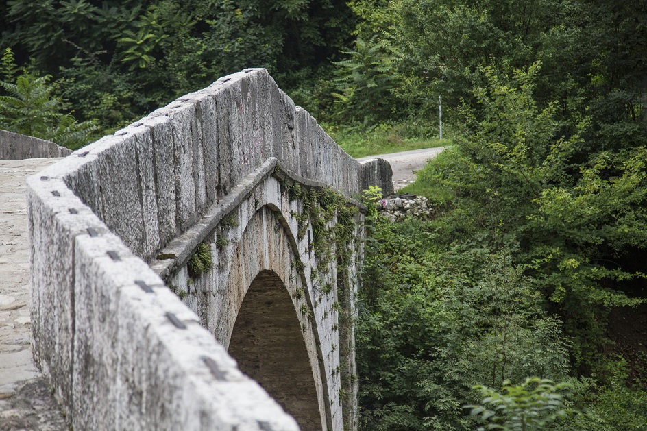 20180805_2_31781960_36176544