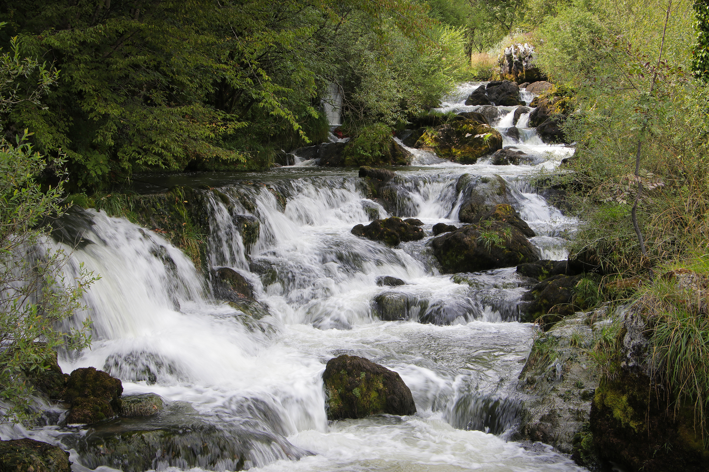 20180805_2_31782624_36177705