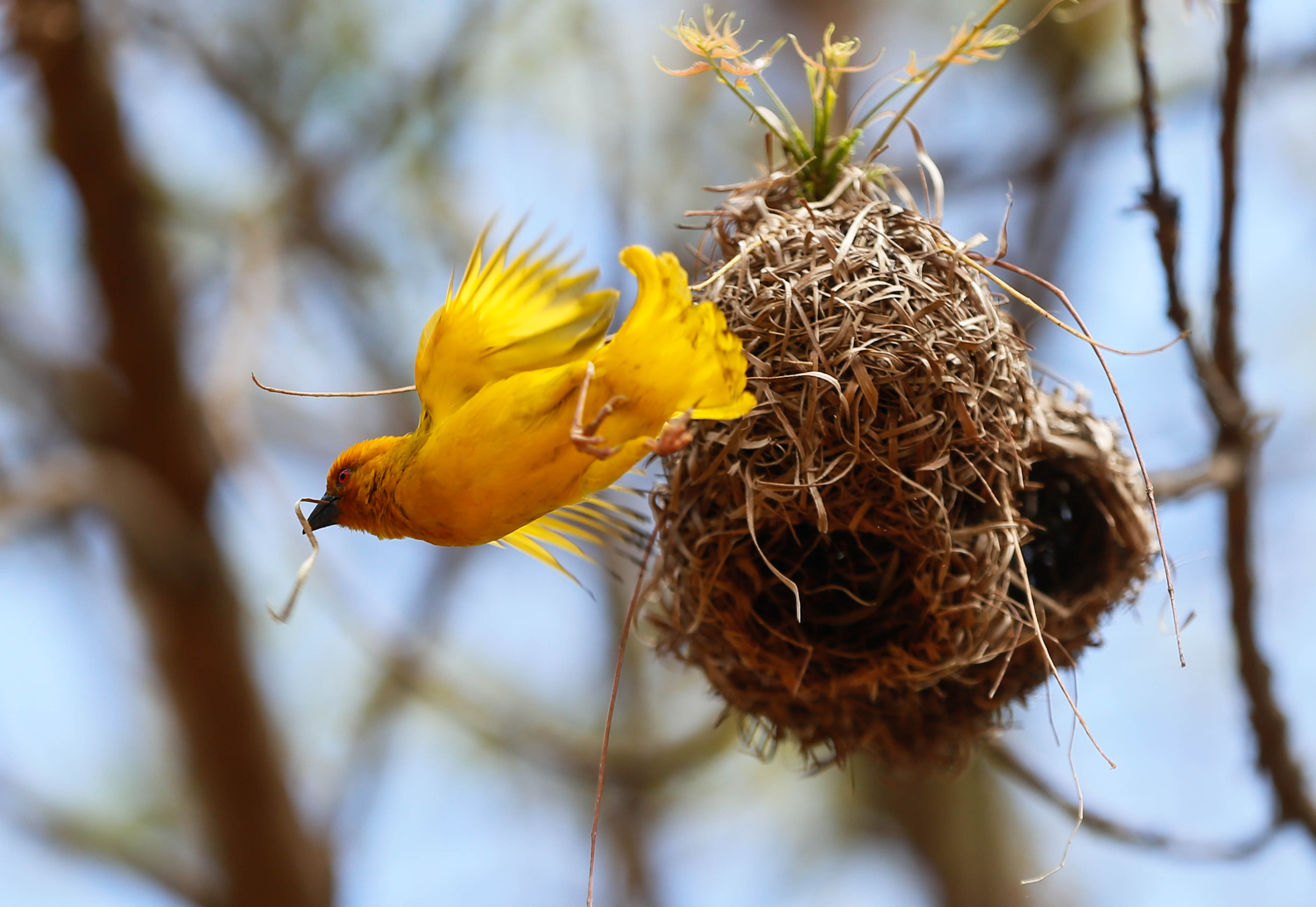 20180822_2_32035358_36602044