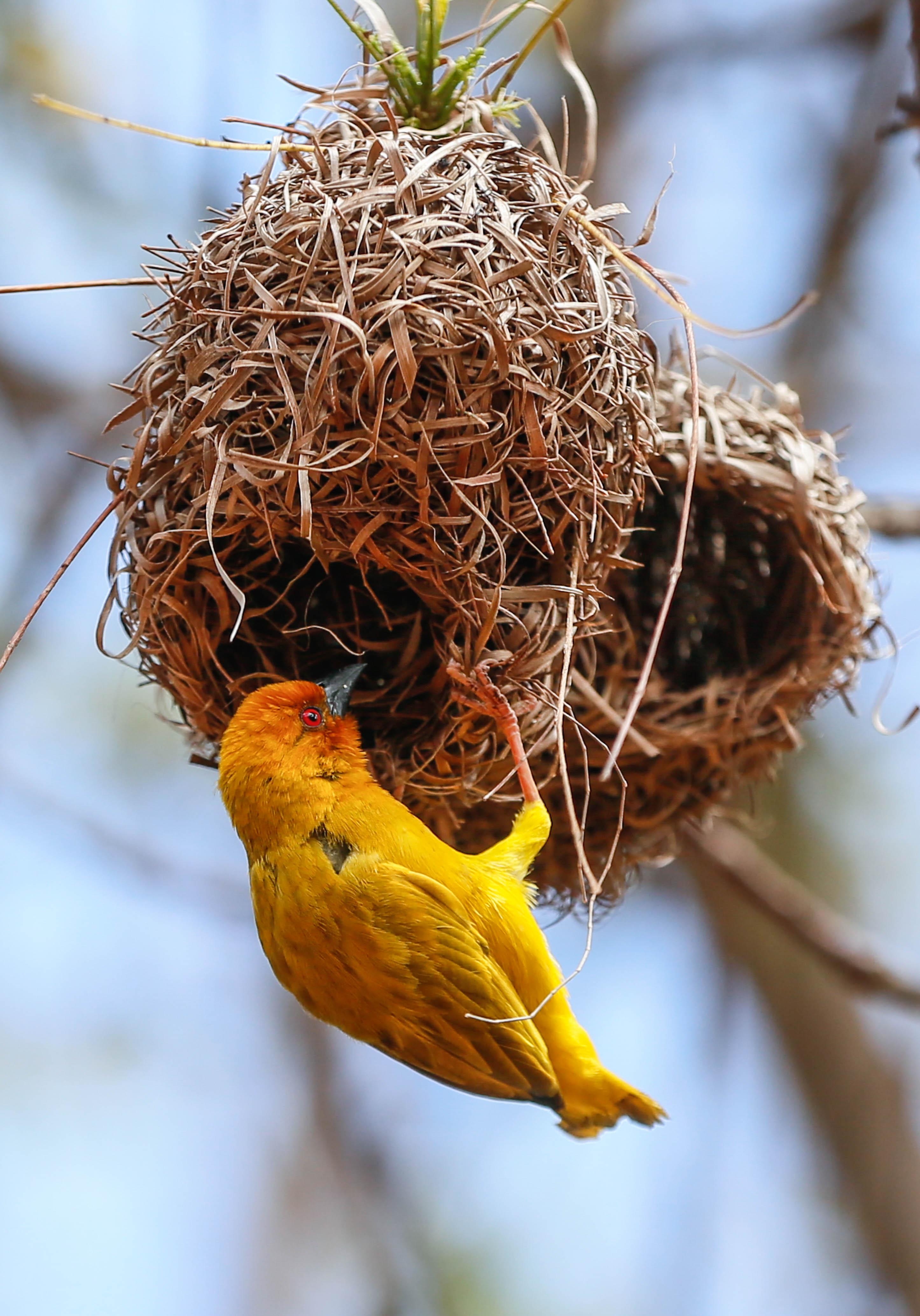 20180822_2_32035358_36602046