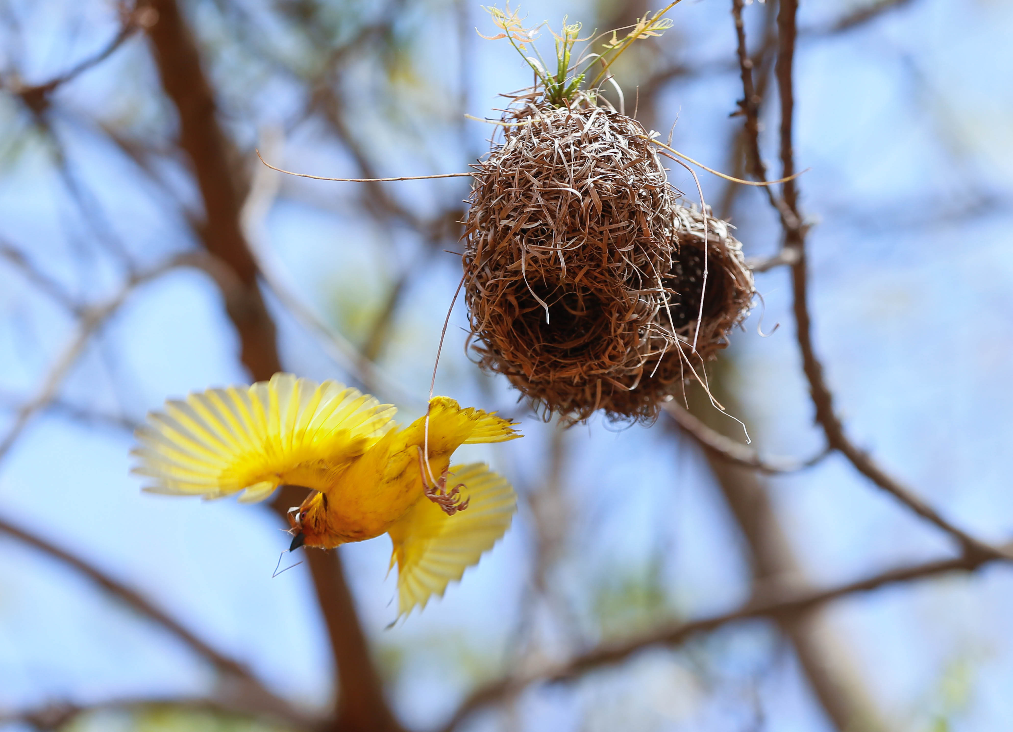 20180822_2_32035358_36602047