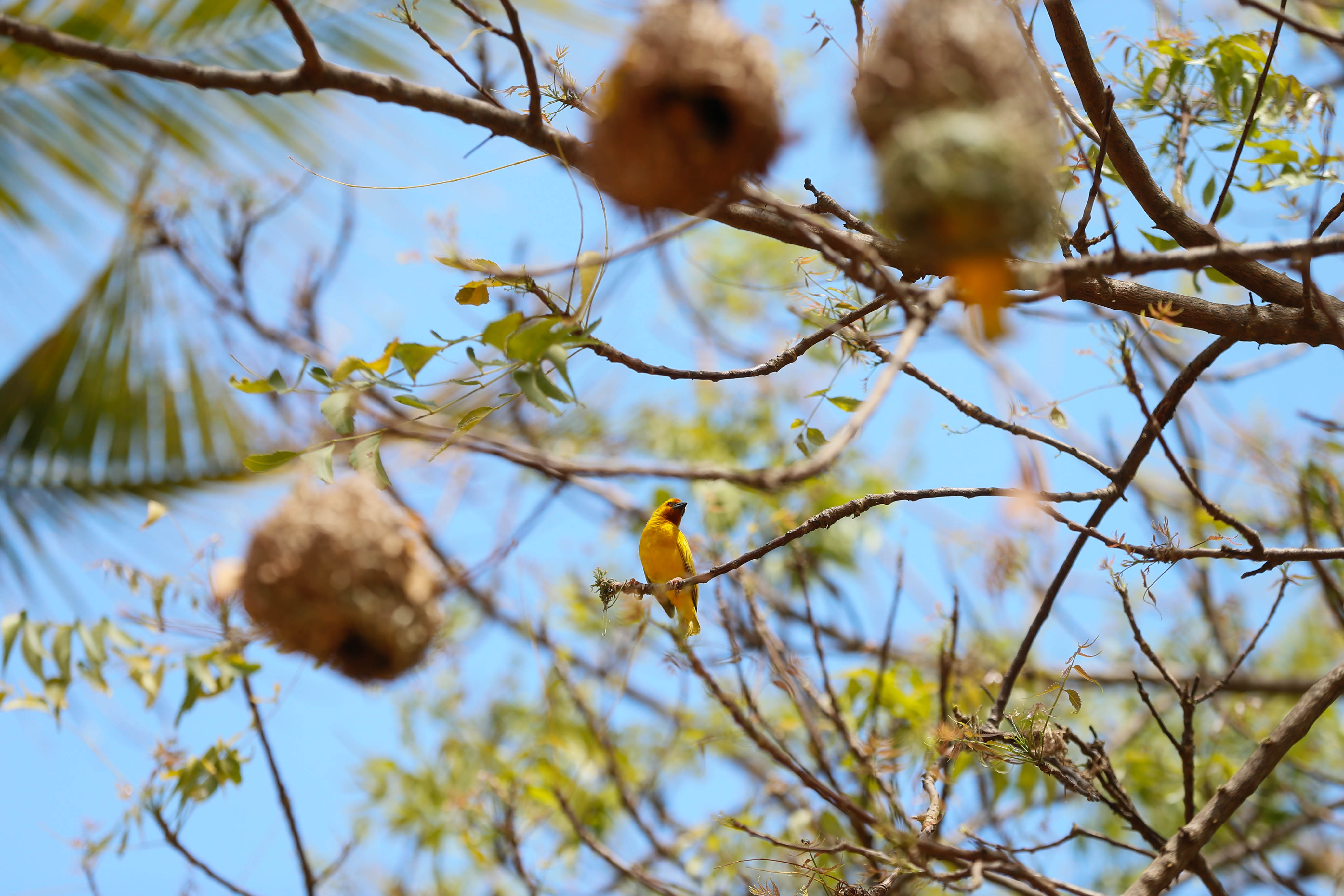 20180822_2_32035358_36602048