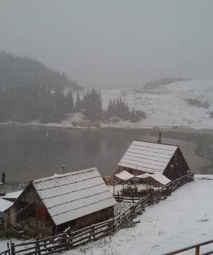 20180924_2_32522825_37506563