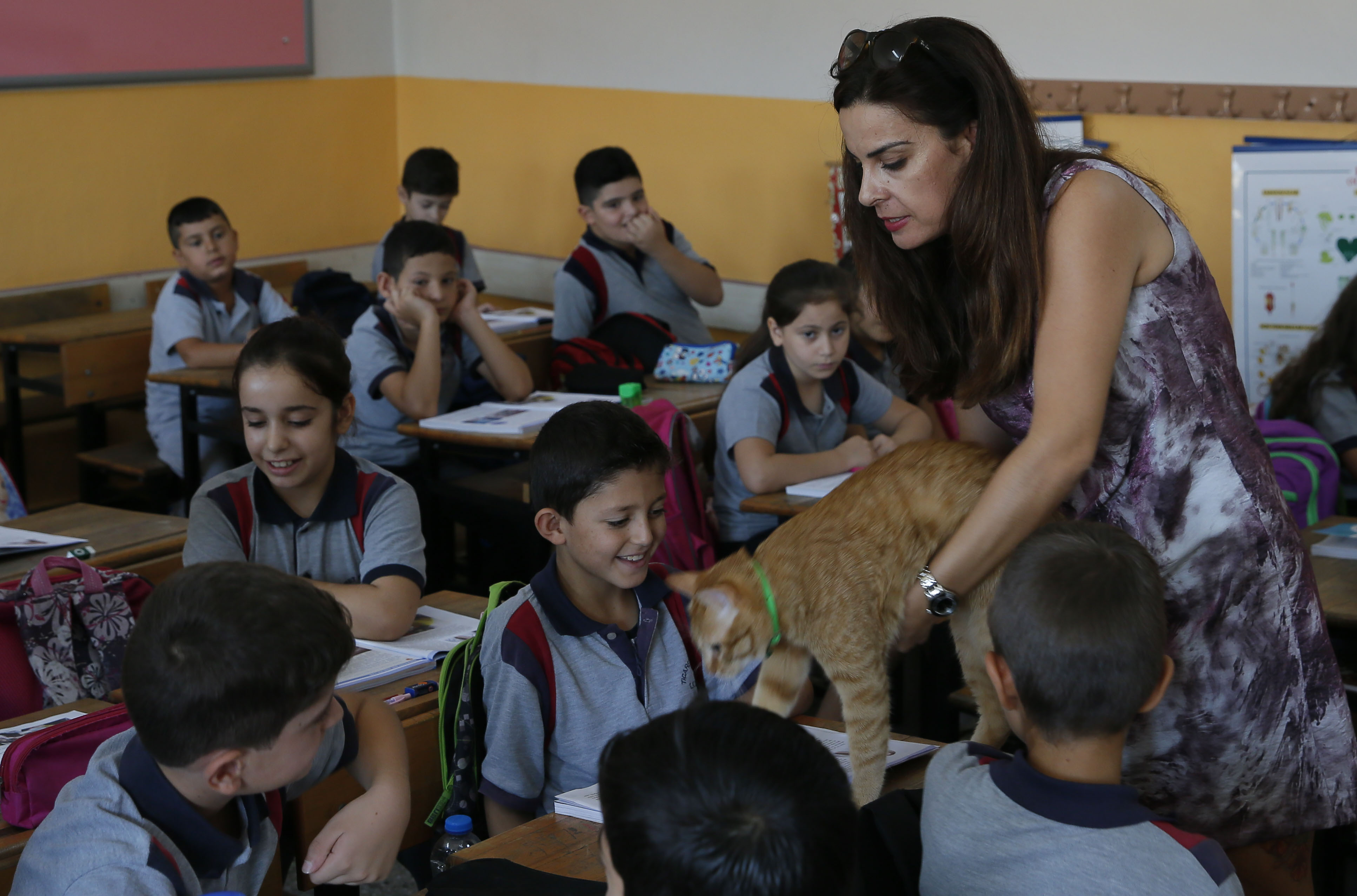 20180924_2_32524075_37508543