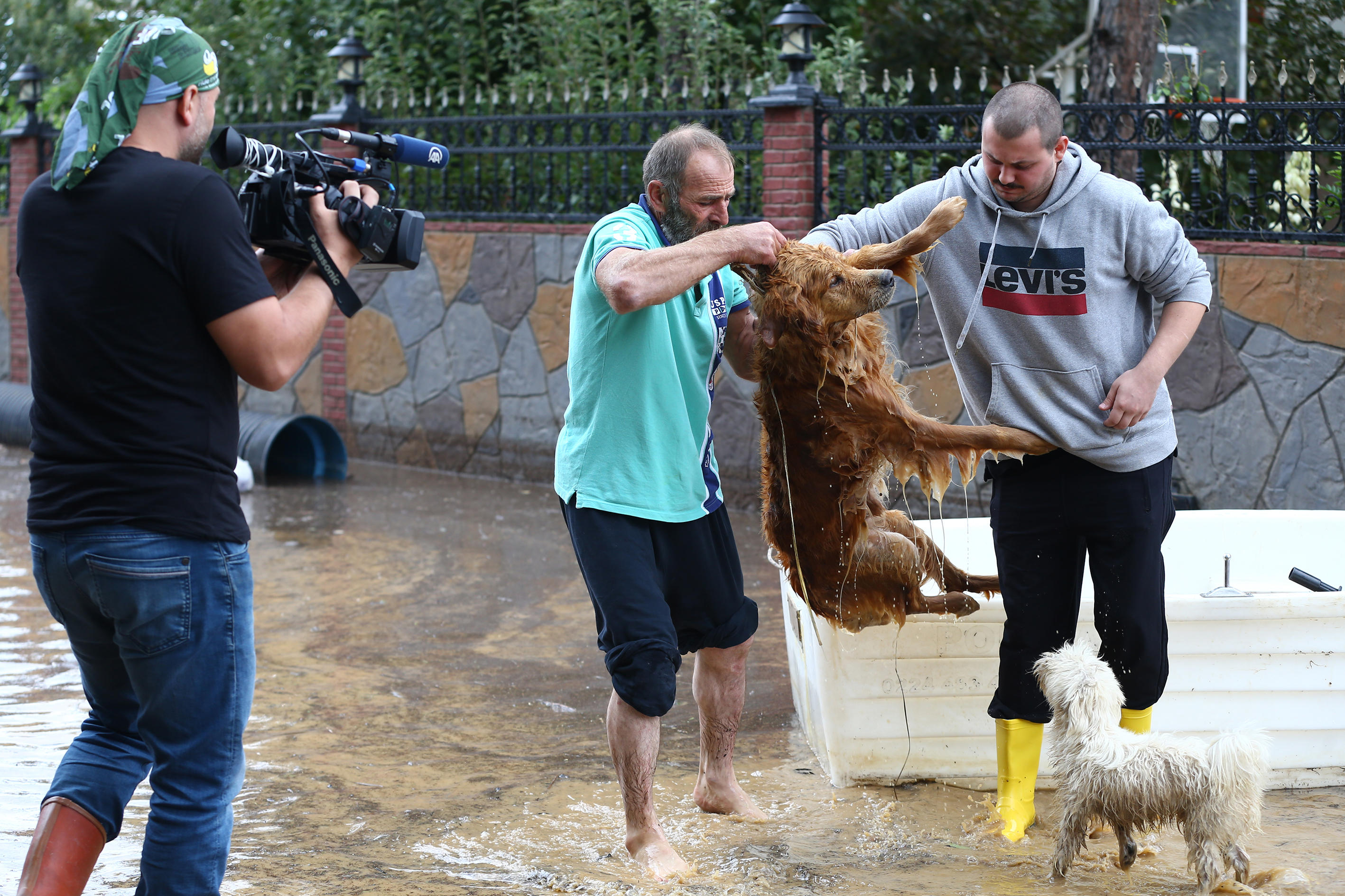 20180930_2_32627112_37682667