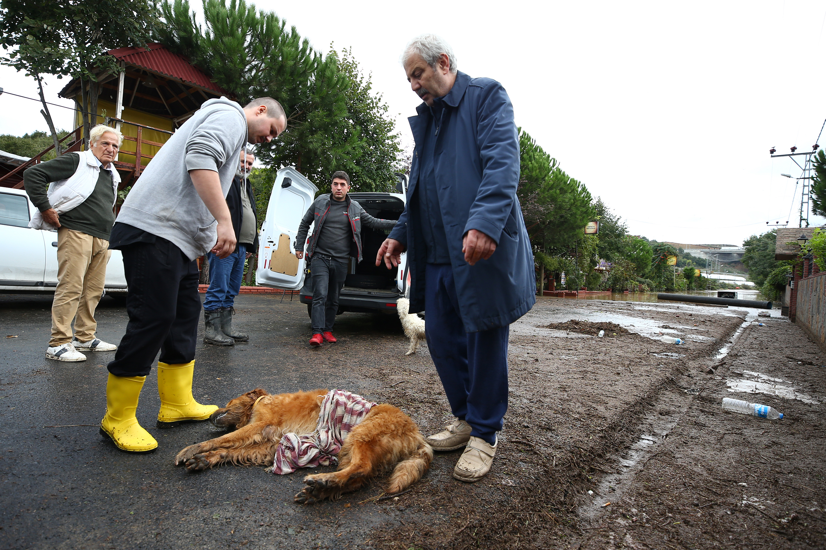 20180930_2_32627112_37682693