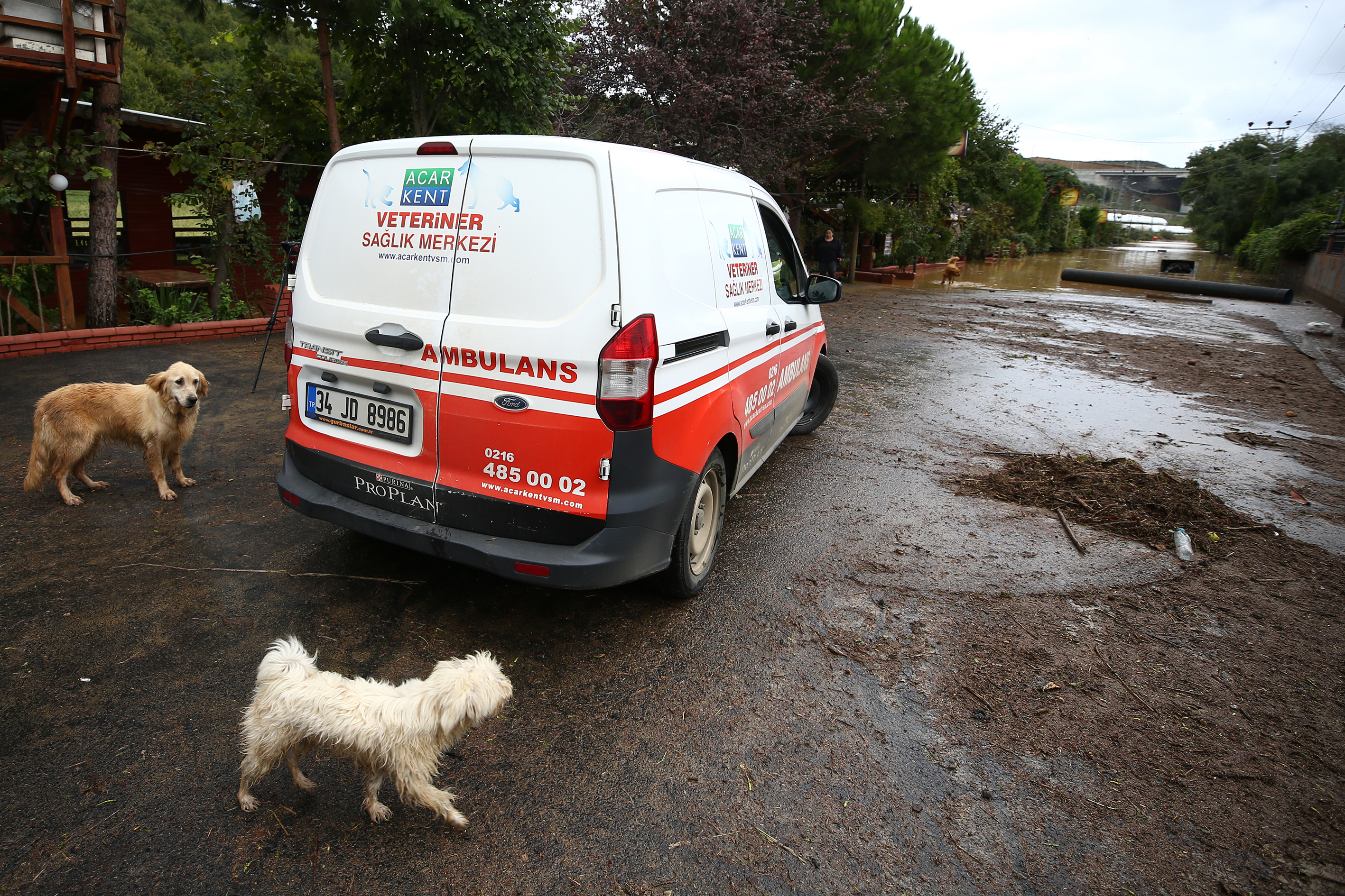 20180930_2_32627112_37682694