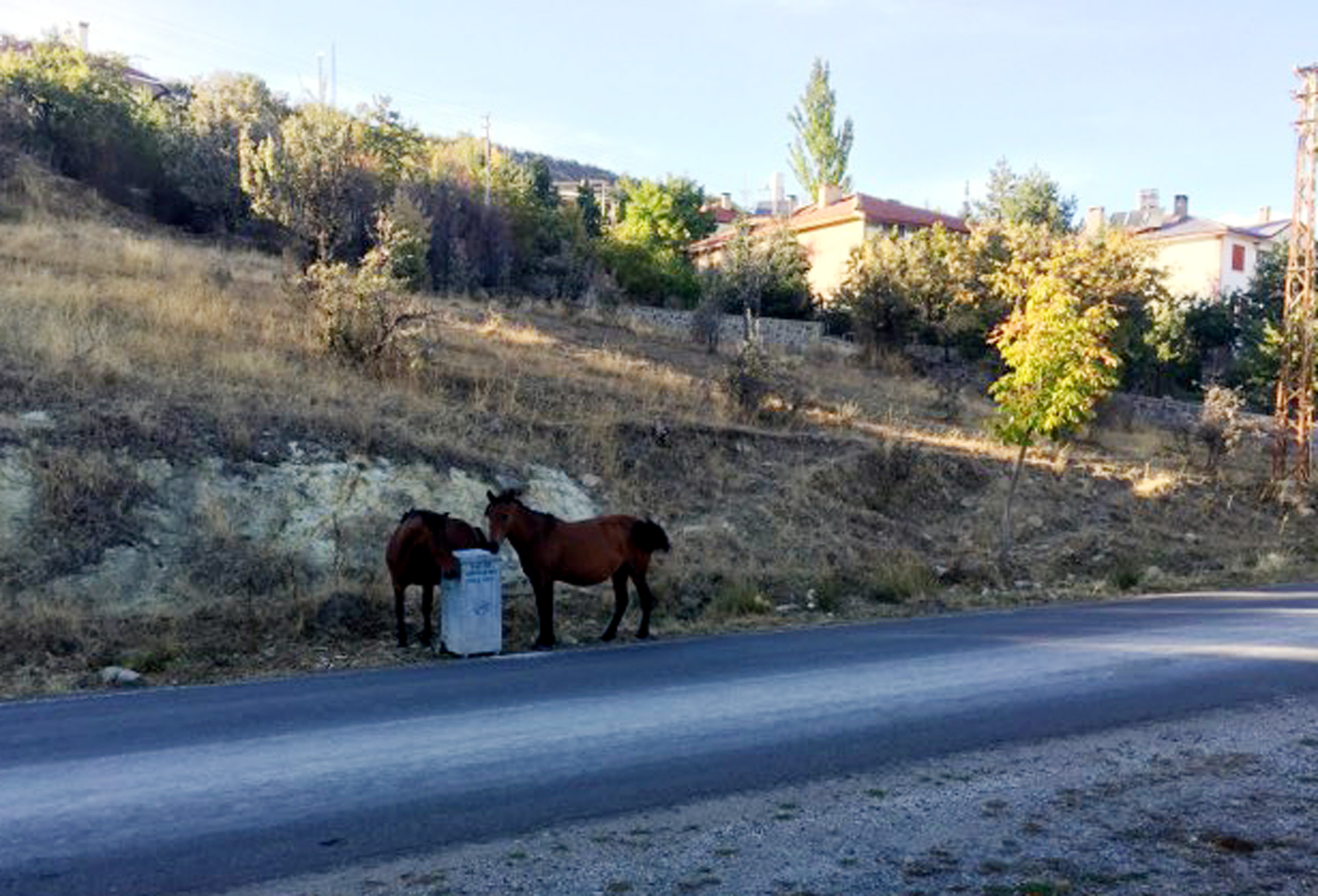 20181003_2_32674178_37759199