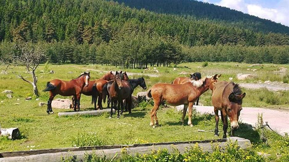 20181003_2_32674178_37759200