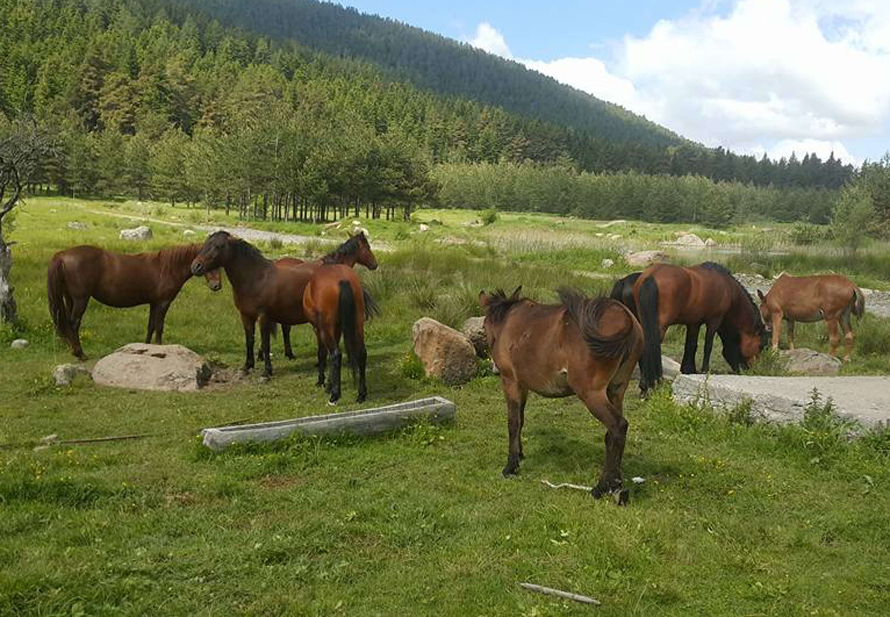 20181003_2_32674178_37759201