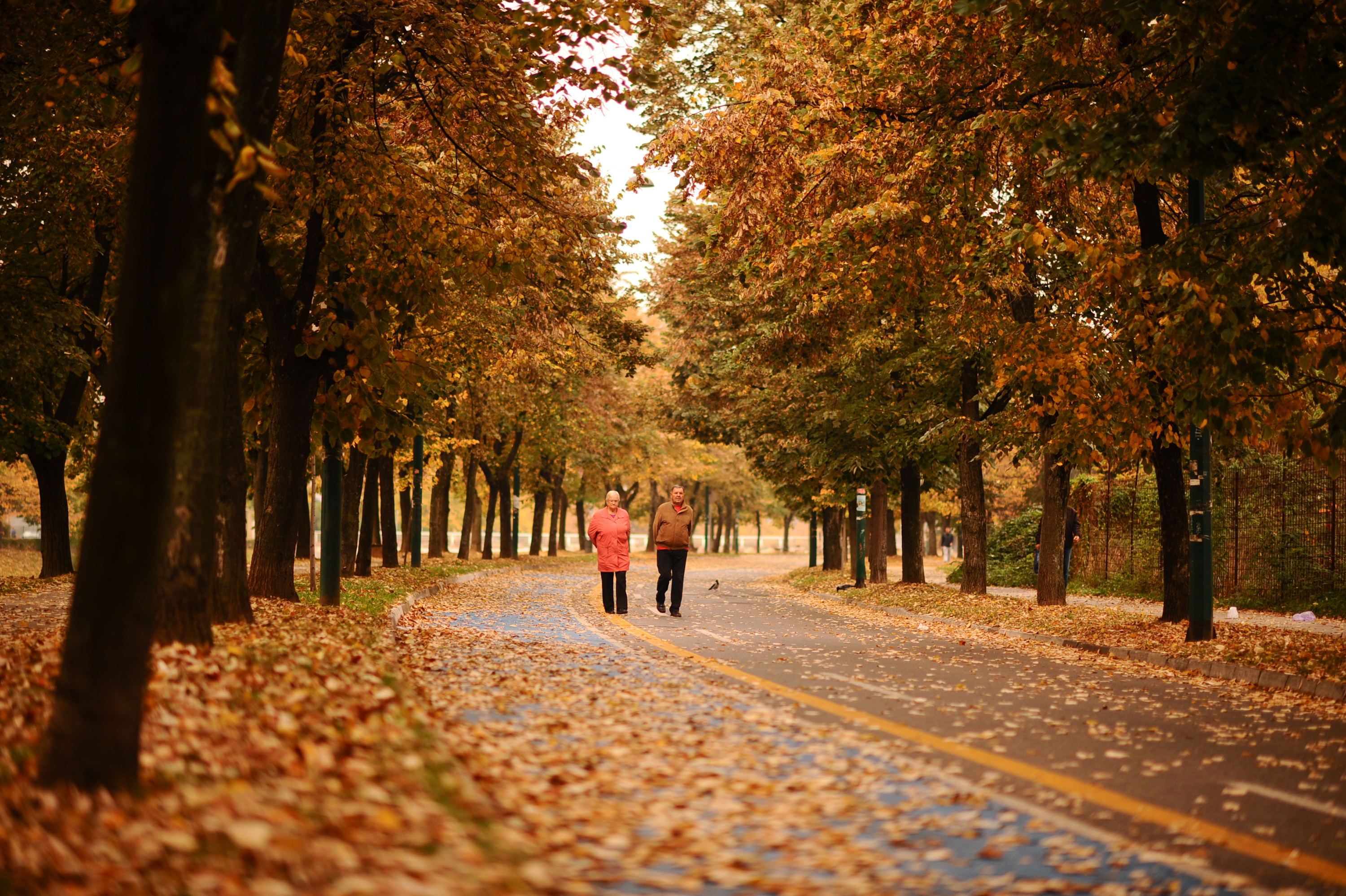 20181015_2_32871269_38104295