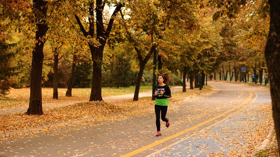 20181015_2_32871269_38104300