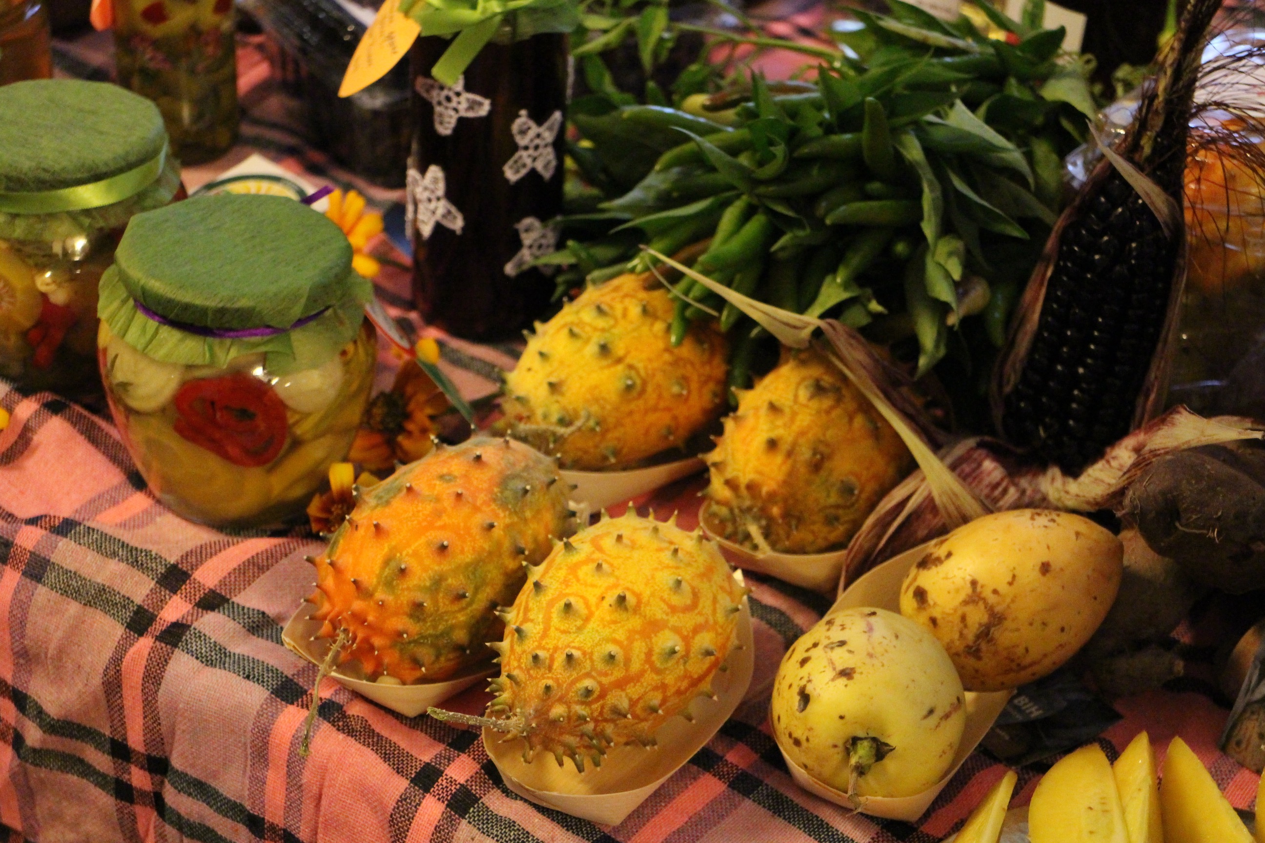 Anadolija