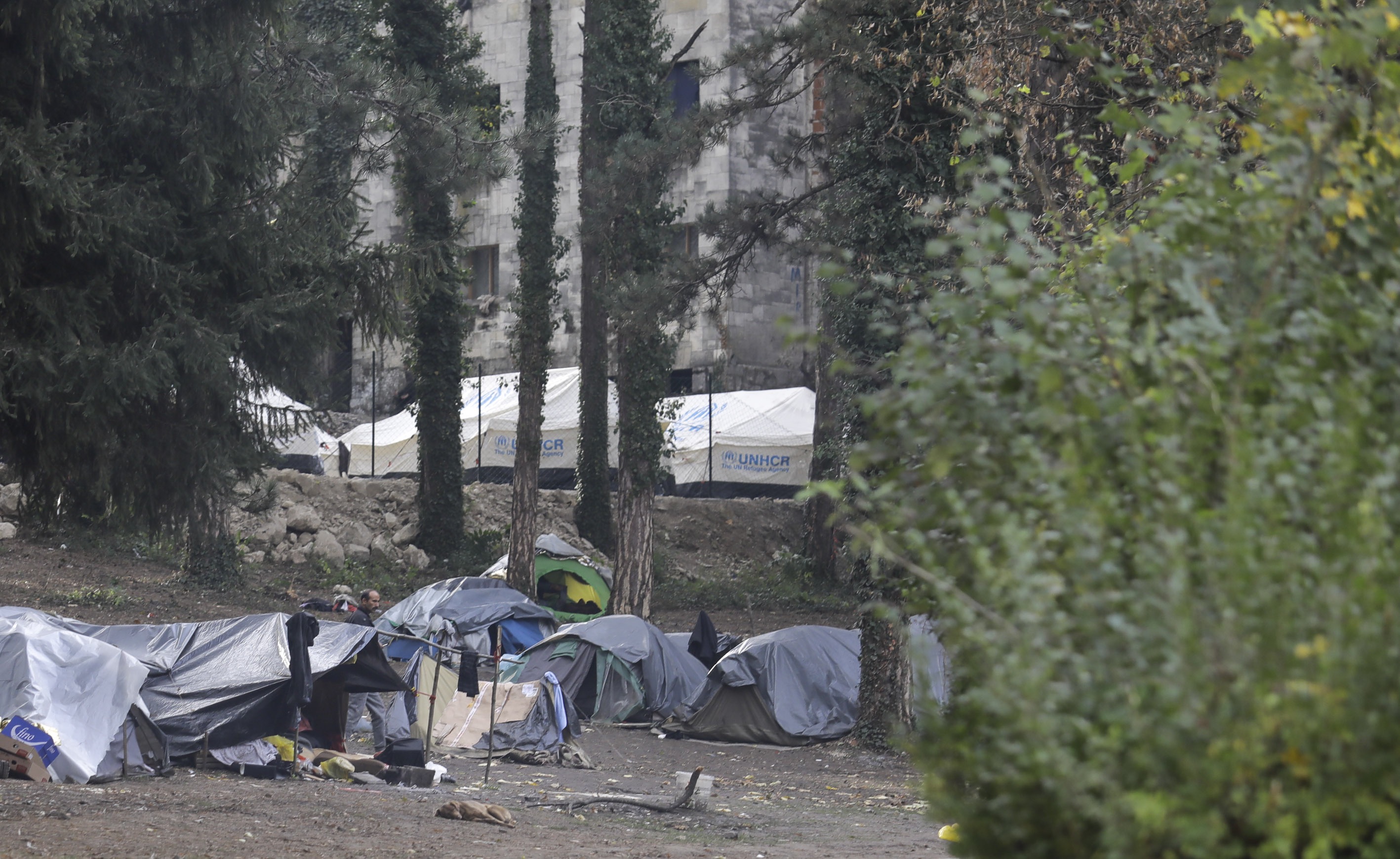 20181027_2_33117603_38483588