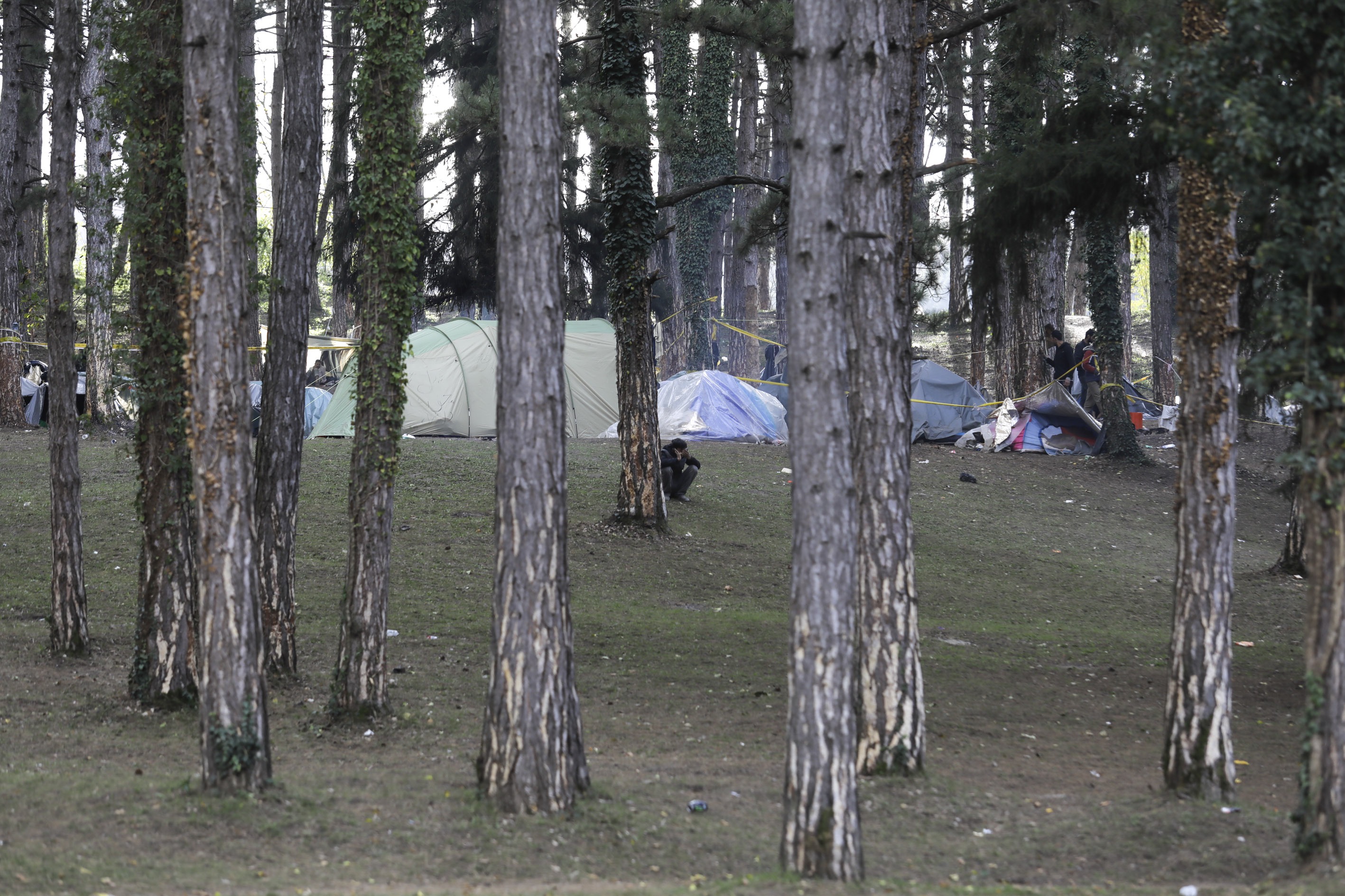 20181027_2_33117603_38483589